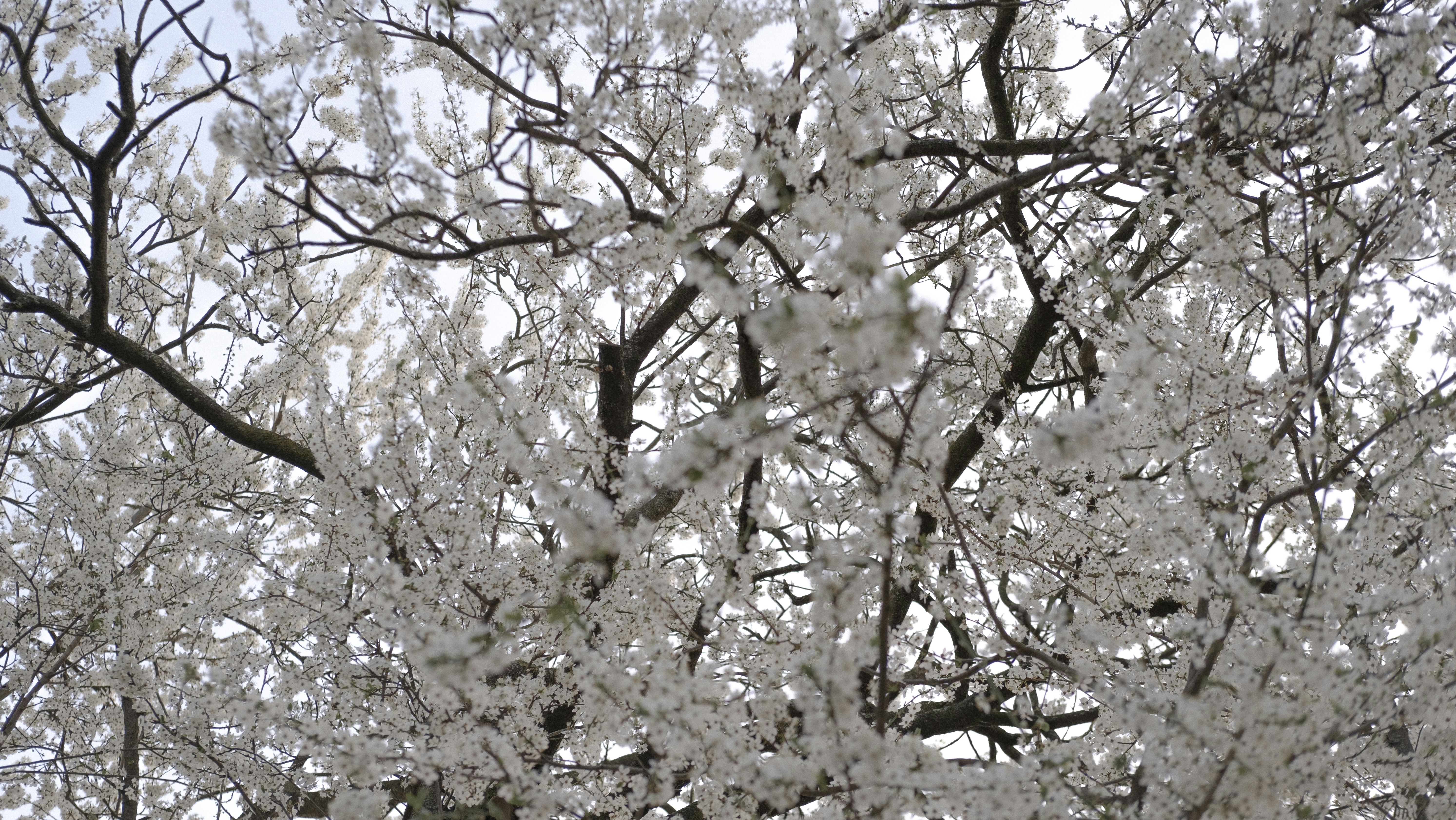 Photo by andreblanco