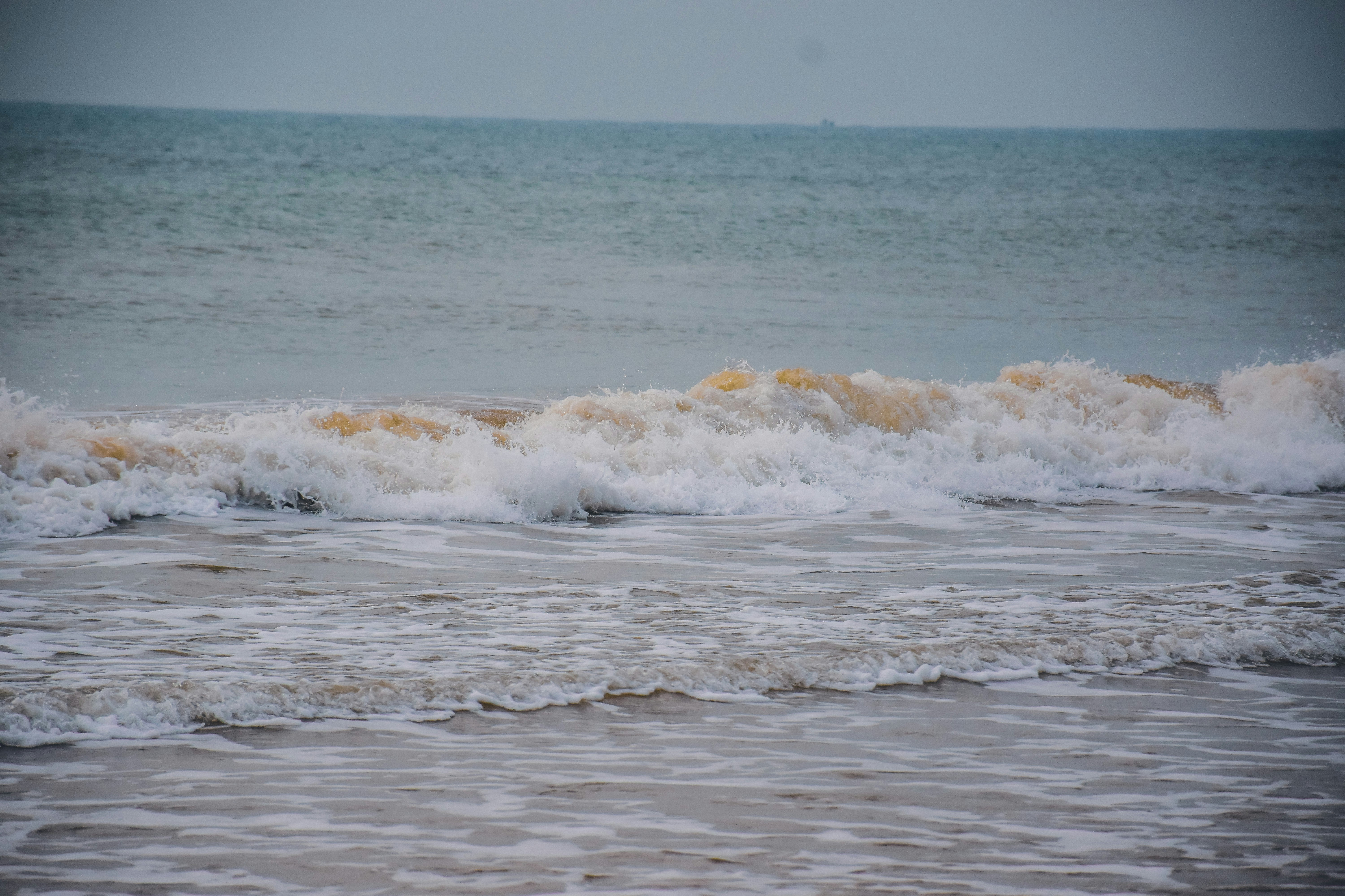 Photo by ankita_clicks