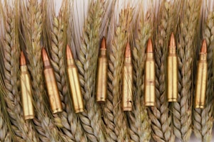 Long-Range Rounds