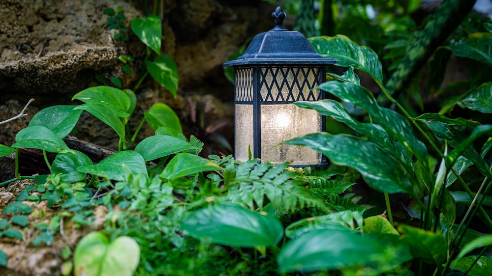 Una lámpara en medio de algunas plantas