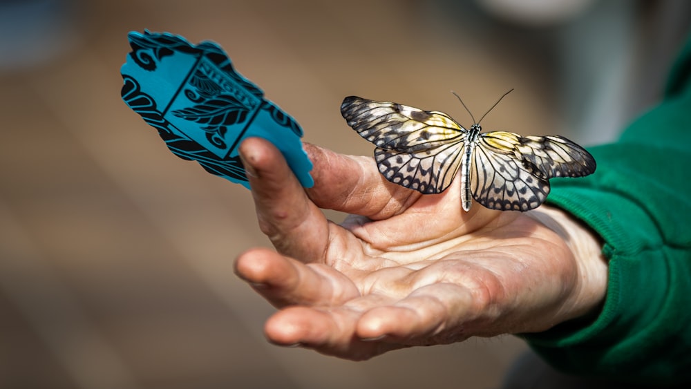 ein Schmetterling, der auf der Hand einer Person sitzt