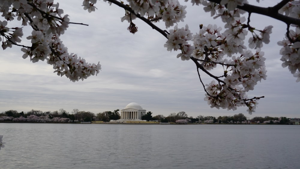 Una vista del monumento a Jefferson desde el otro lado del agua