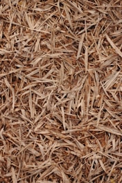 a close up of a pile of wood shavings