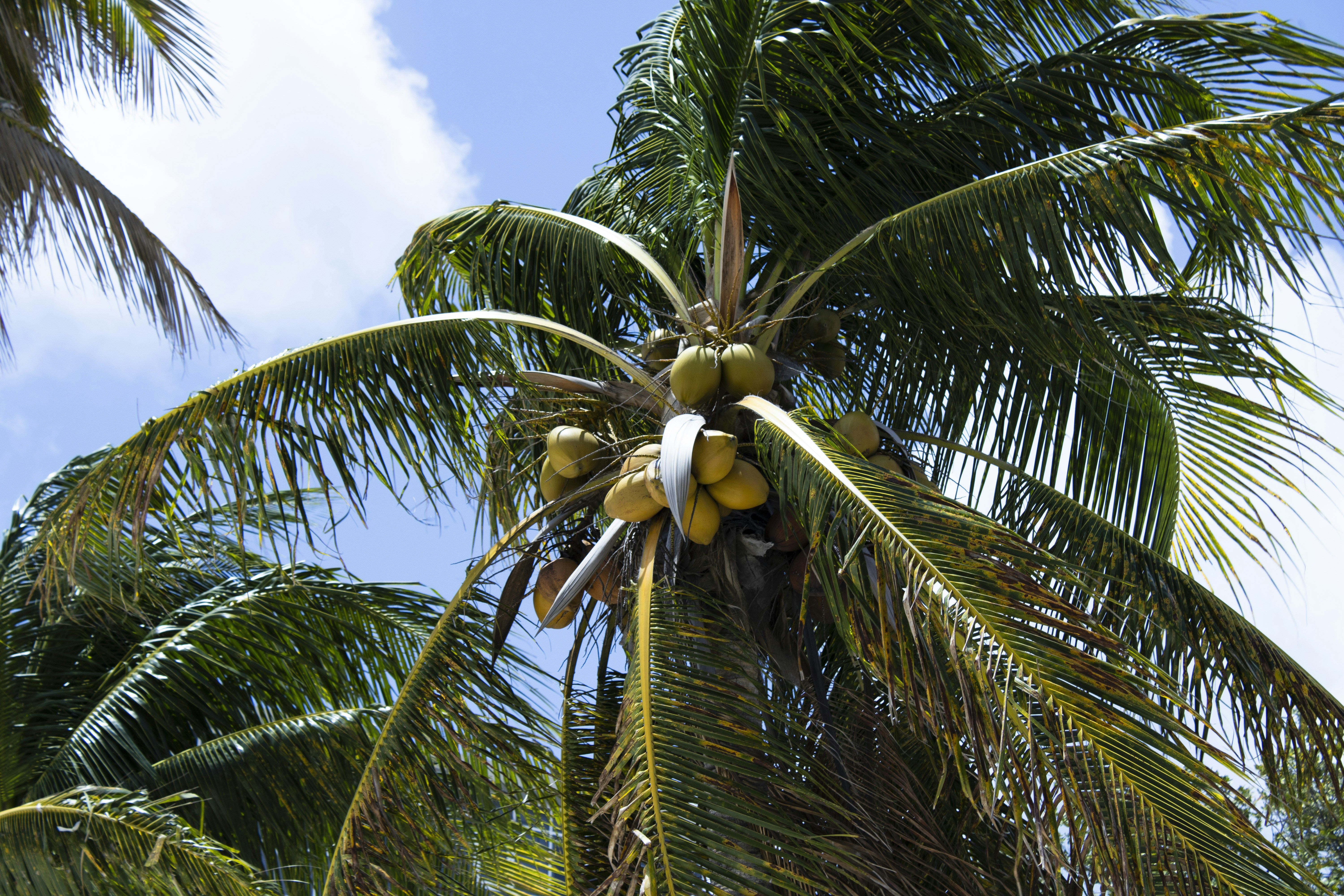photo of Cocos (Keeling) Islands