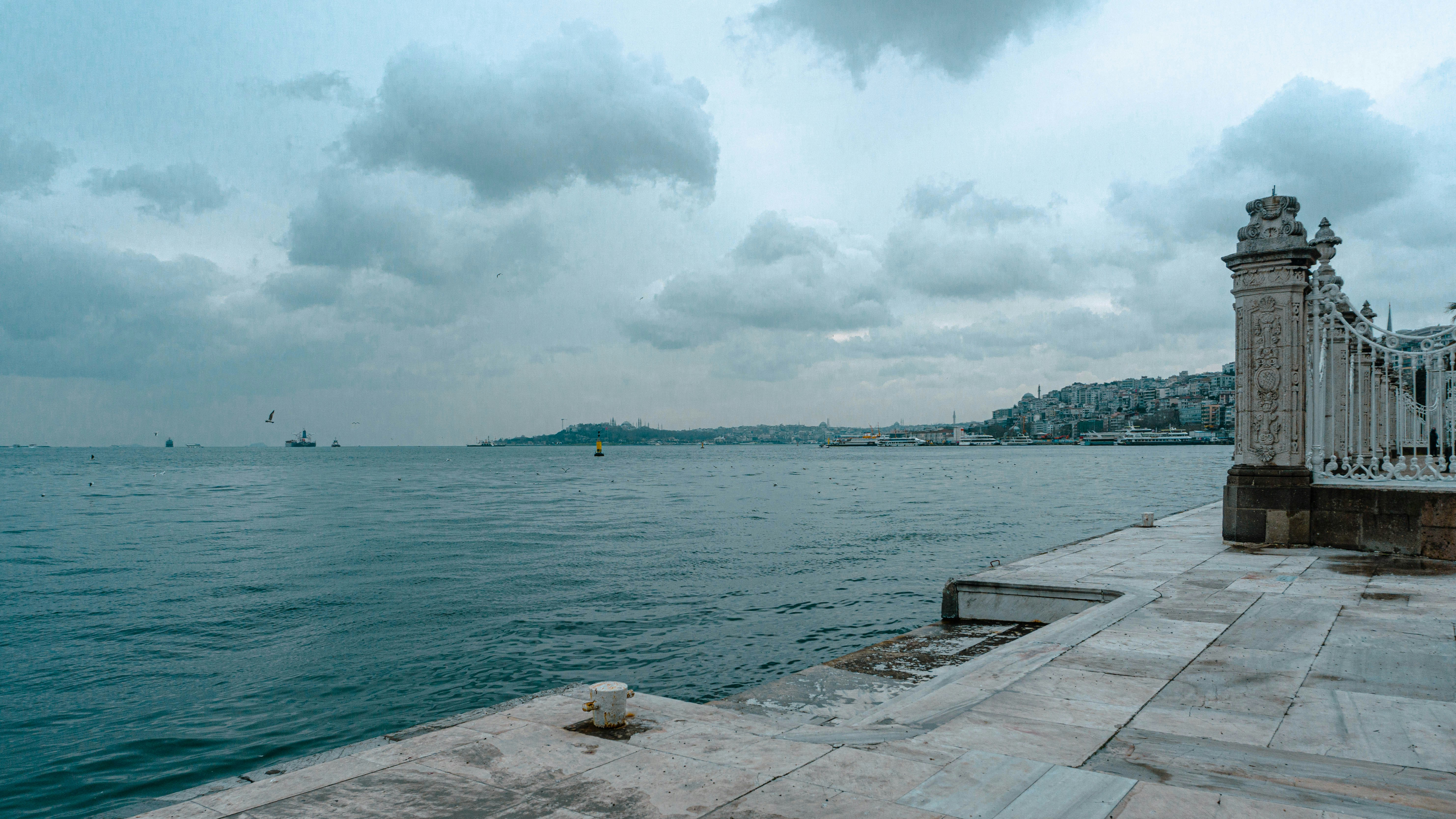 Photo by renaldo97