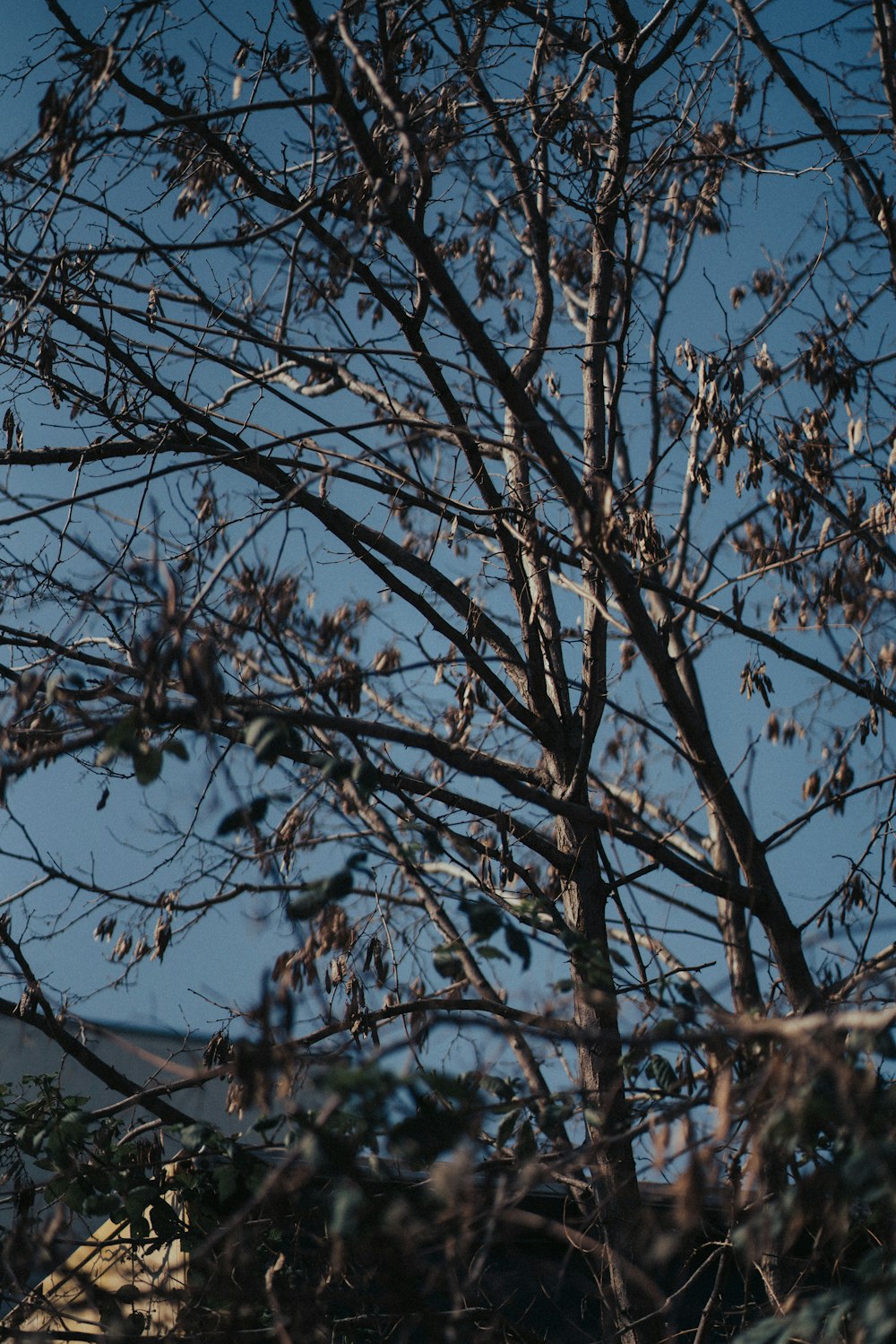 a bird is perched on a tree branch