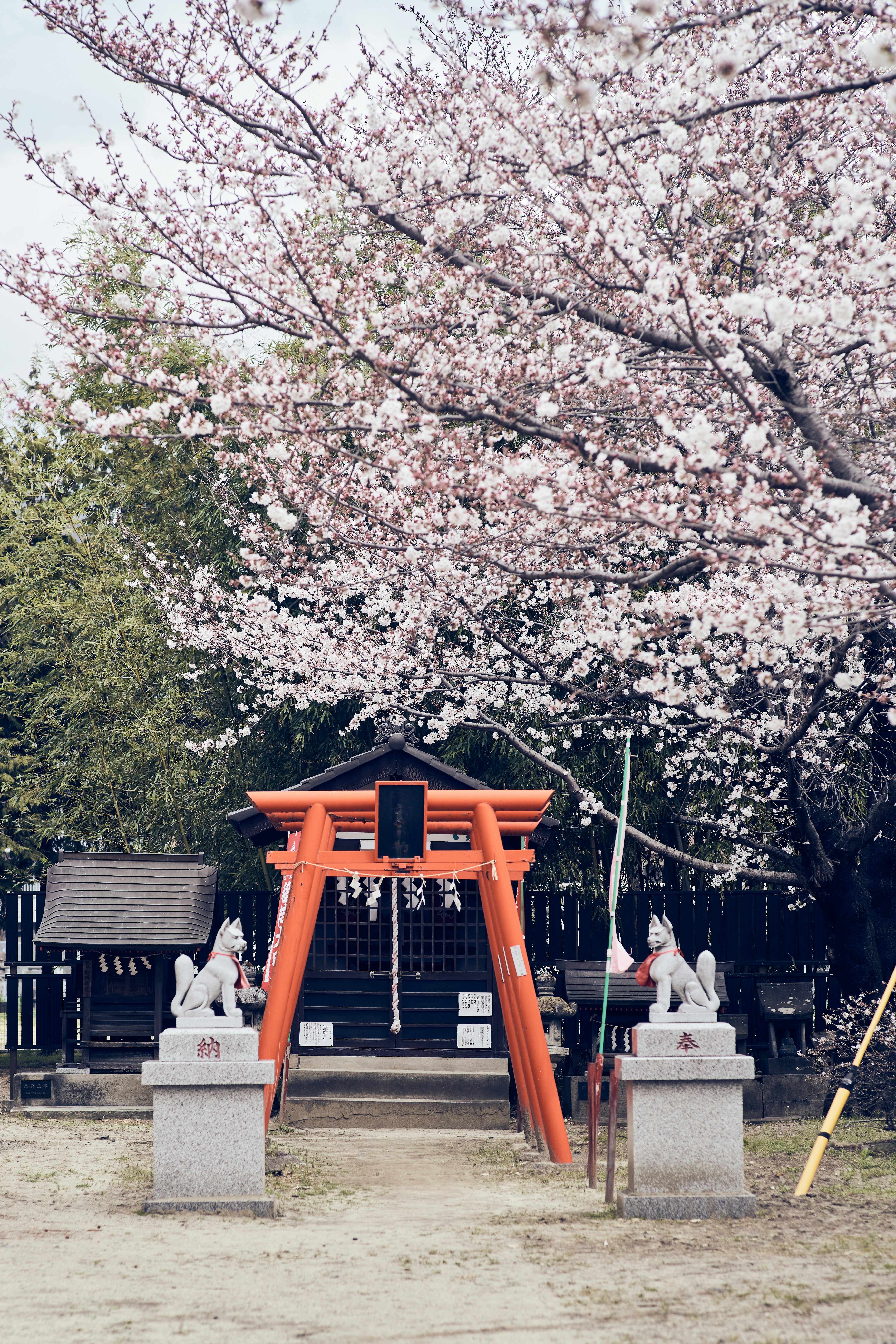 Photo by akira100