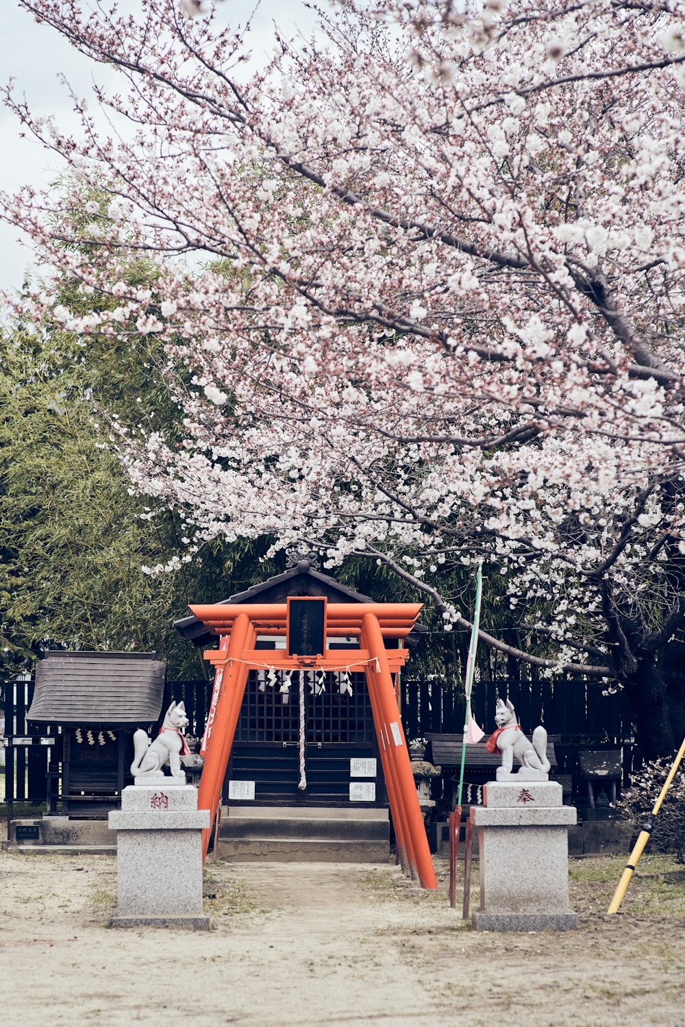 a small shrine with an orange gate and a cherry blossom tree in the background