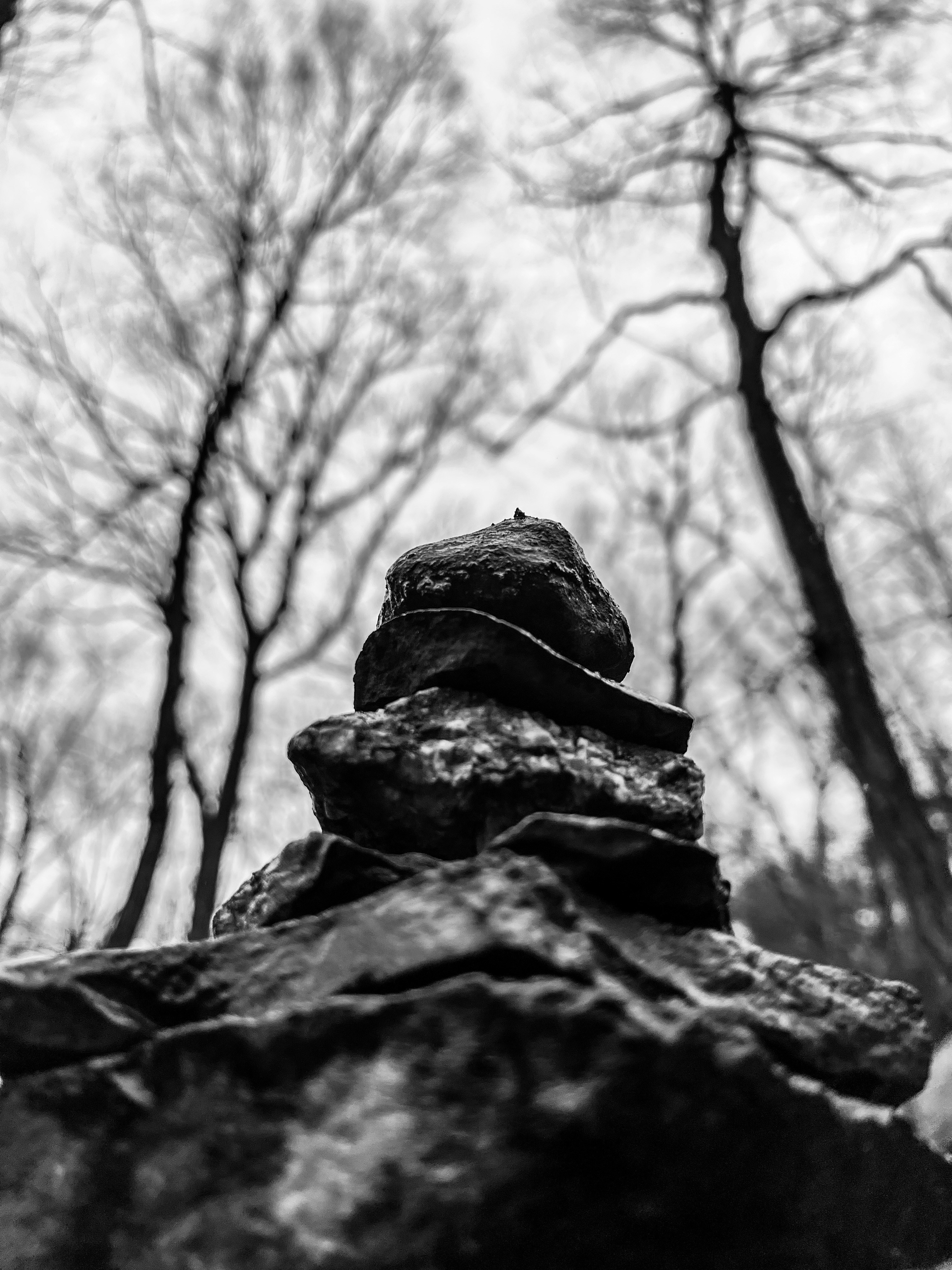 Photo by tedfergusson7