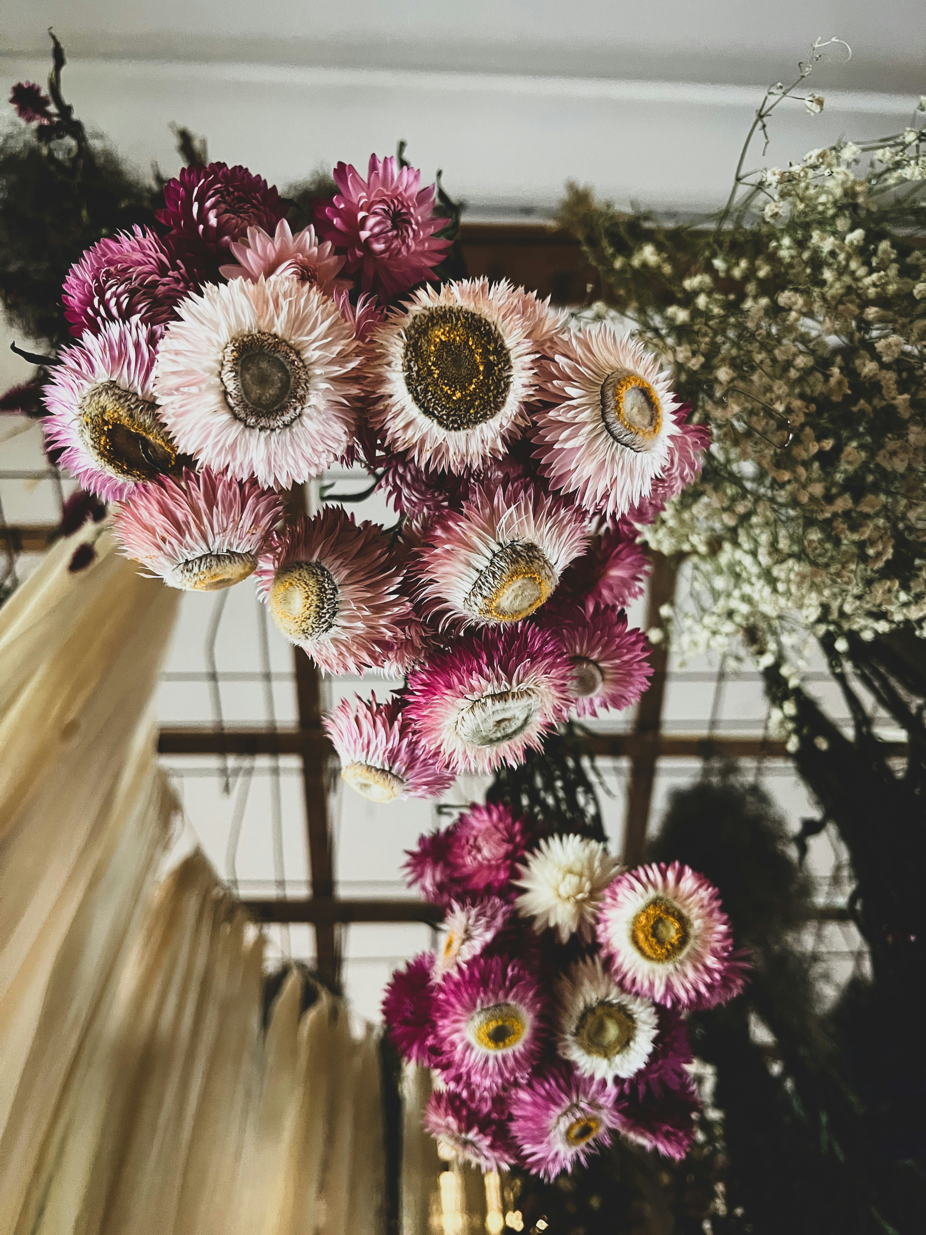 Photo by tedfergusson7