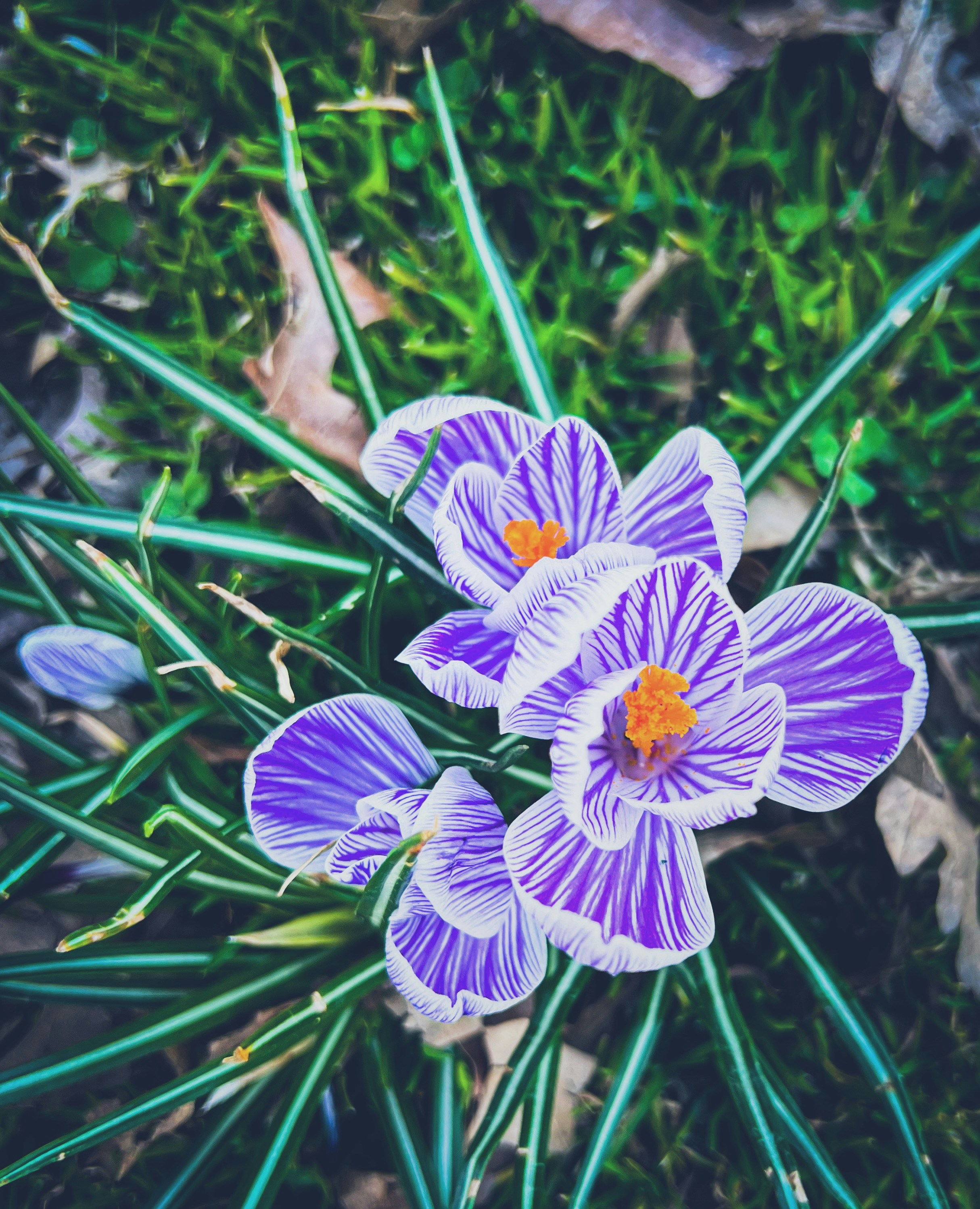 Photo by tedfergusson7