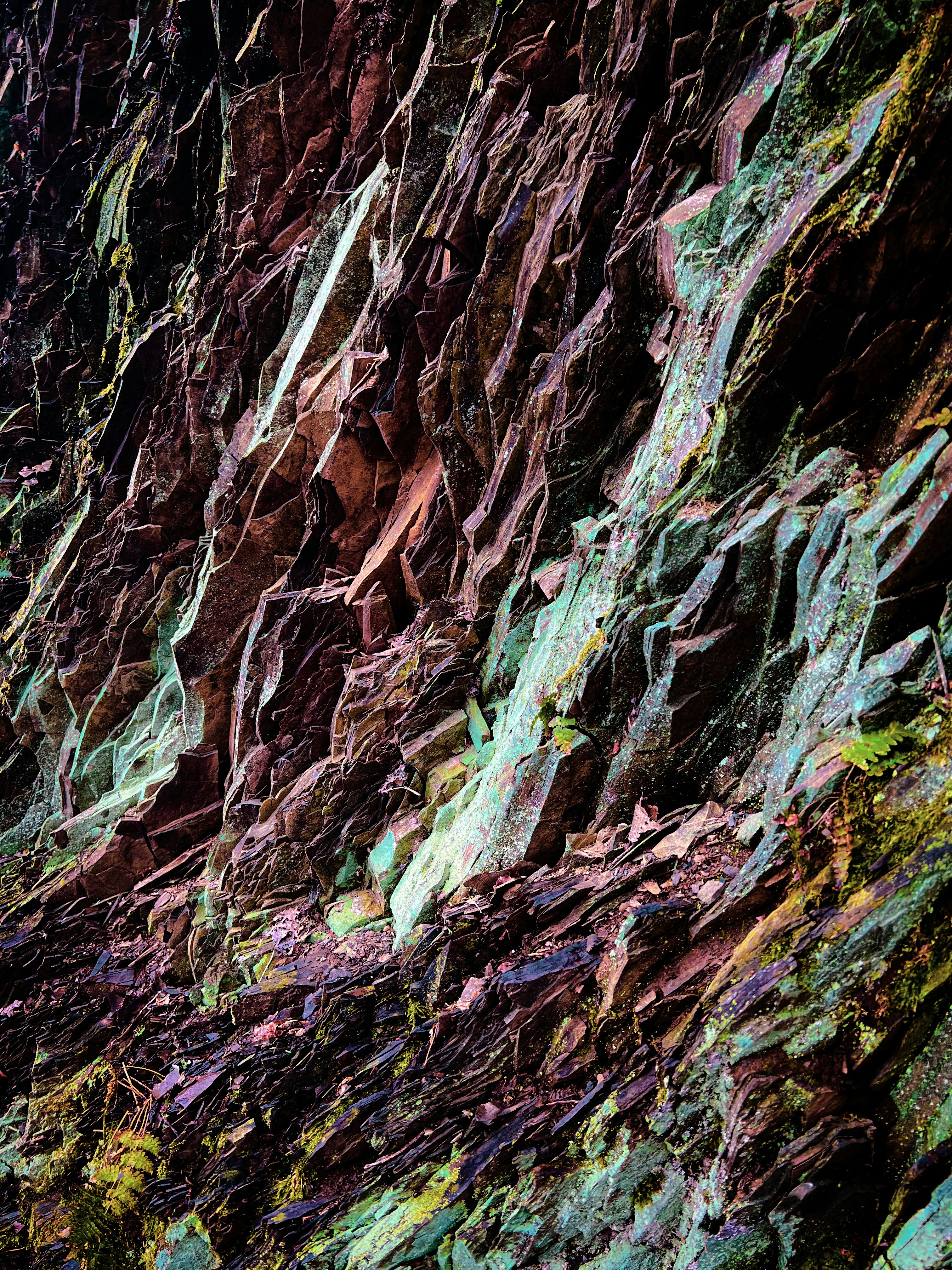 Photo by tedfergusson7