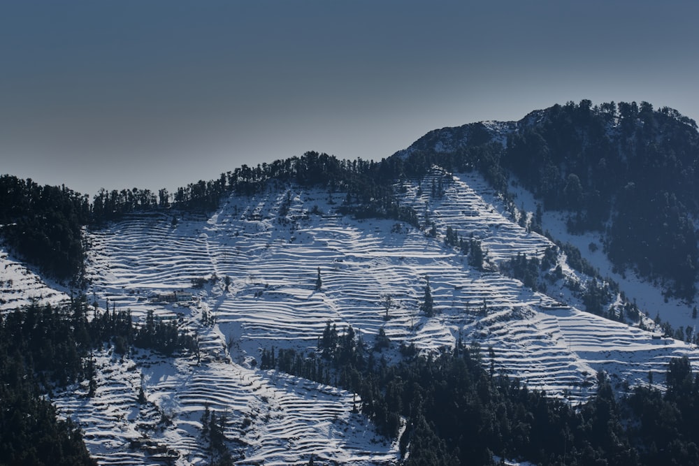 a mountain covered in snow and trees under a cloudy sky