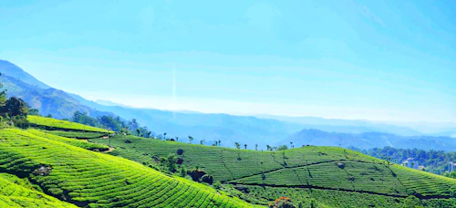 Munnar tea hills, Kerala