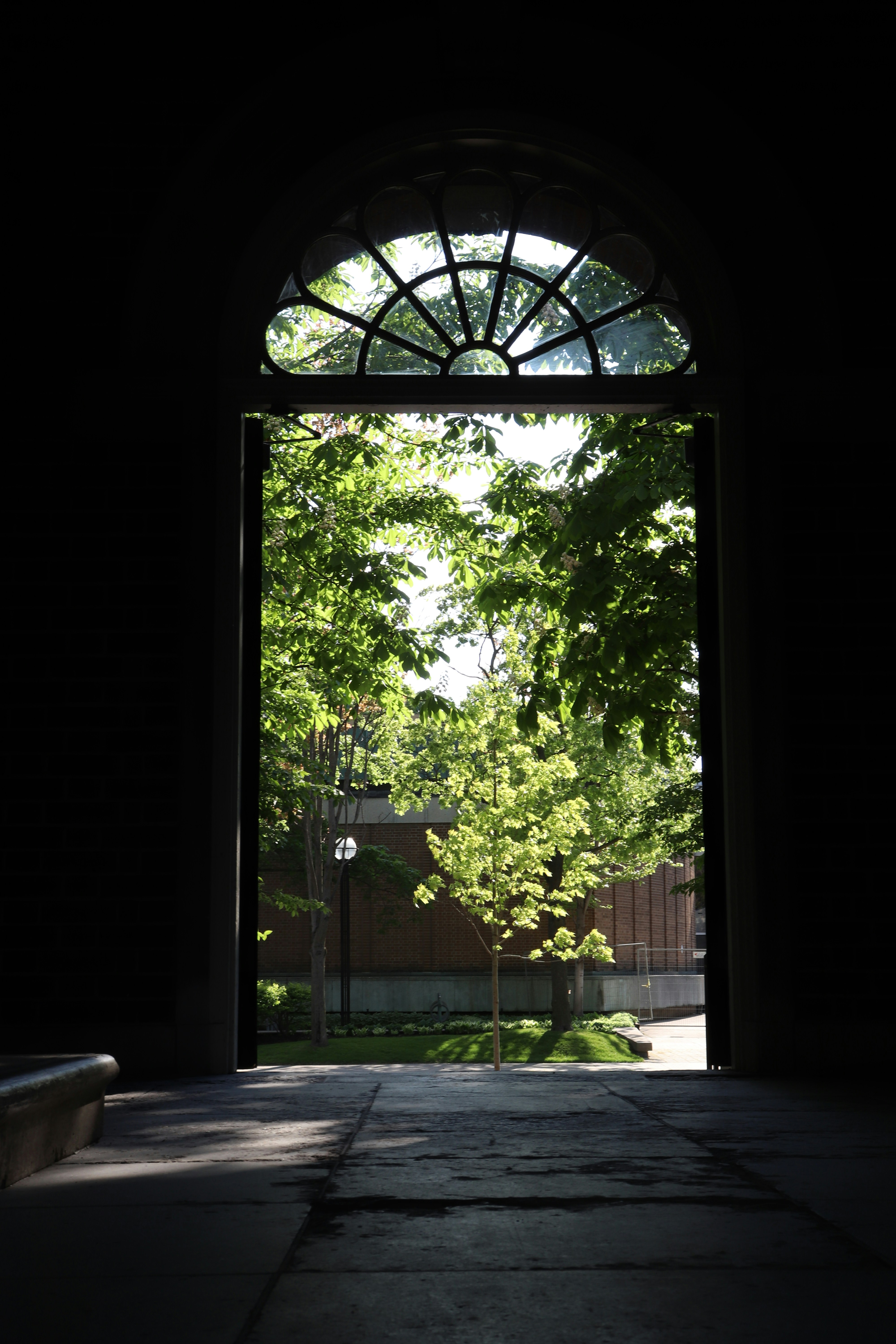 Photo by mahn_design