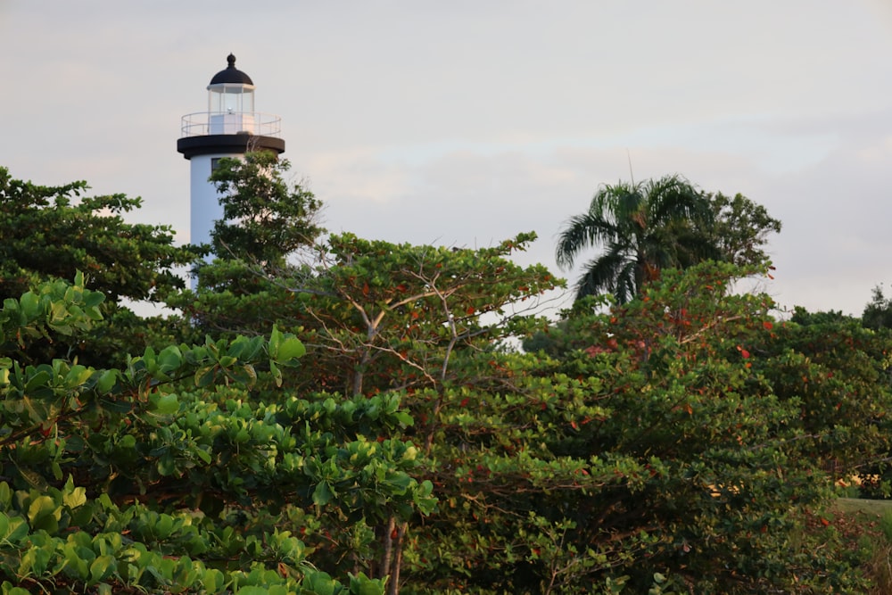 a white and black light house surrounded by trees