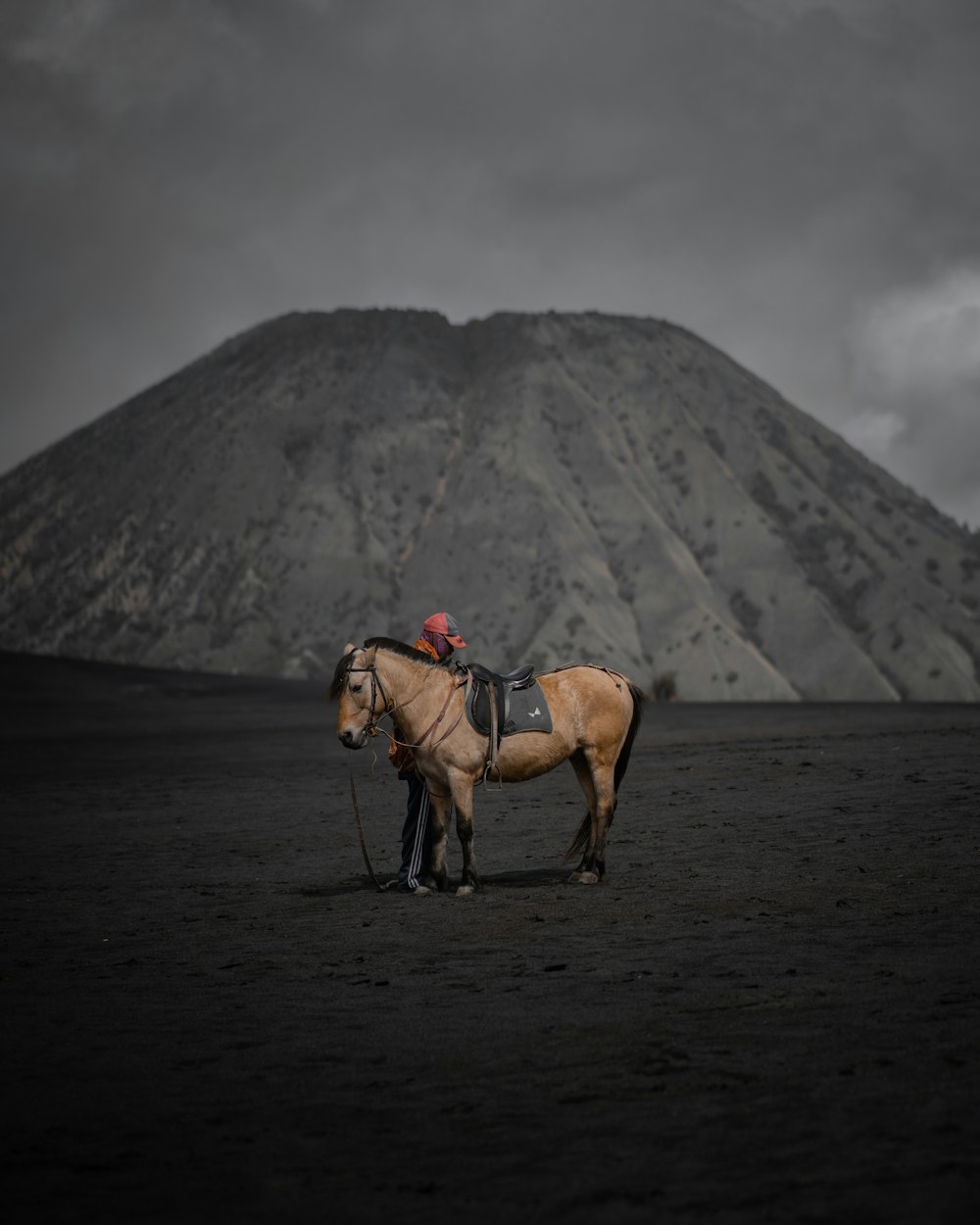 a horse with a saddle standing in front of a mountain