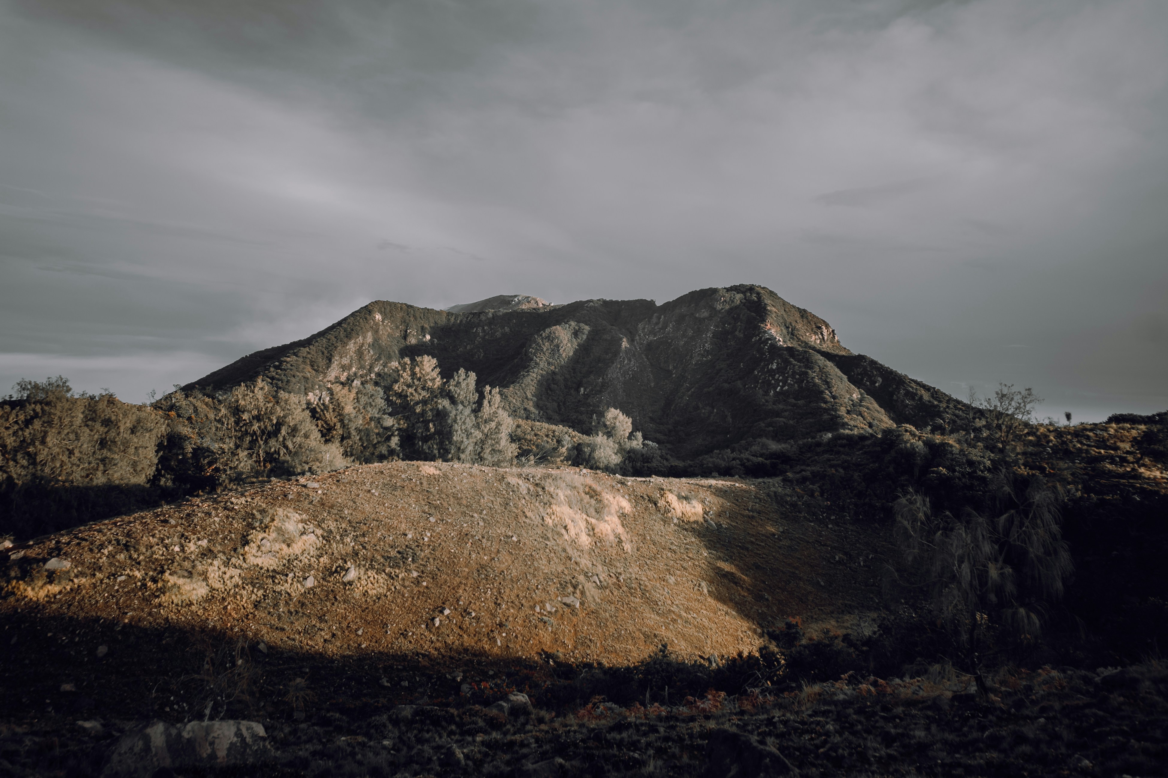 Photo by putrasadewa