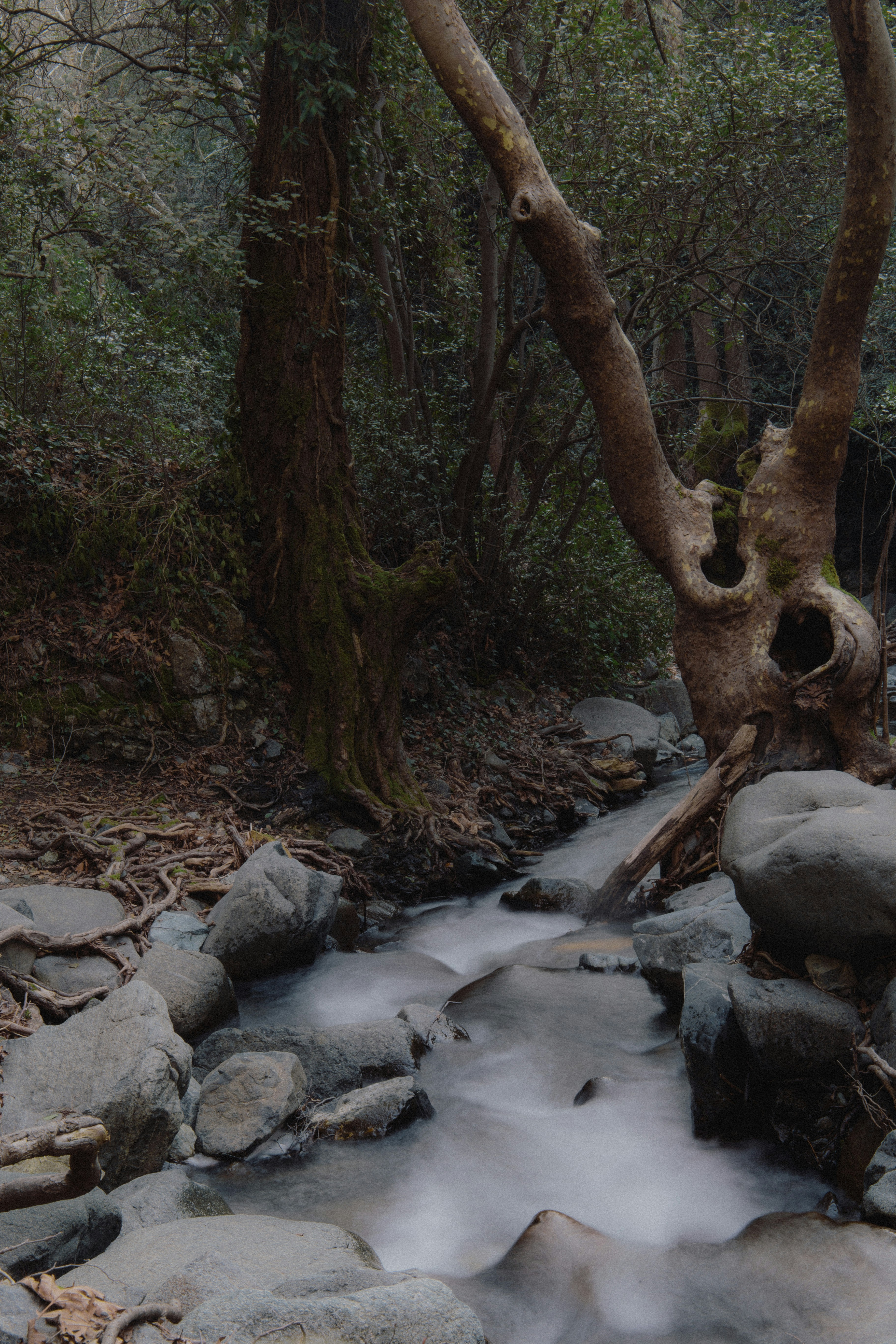 Photo by kkalerry