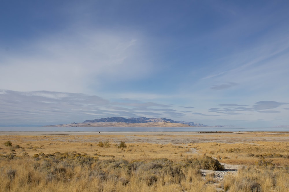 a large open field with a mountain in the distance