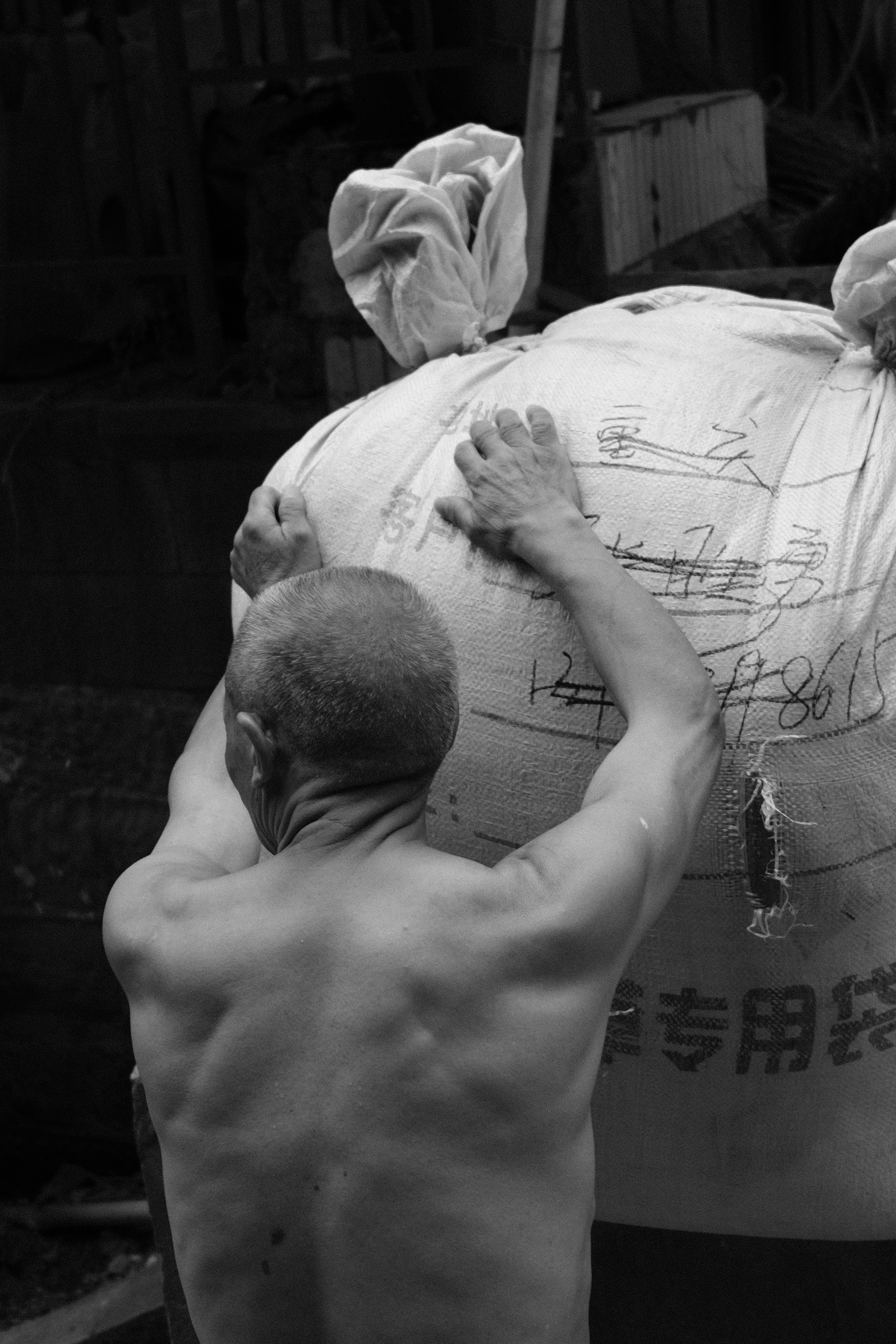 10 Dynasty Transitions That Transformed Chinese Martial Arts