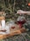 A tranquil outdoor setting featuring a hand pouring tea from a glass teapot into a cup on a wooden tray. The tray also holds slices of cake on parchment paper, two additional glass cups, and a lit white candle. Surrounding this scene are lush green plants and ripe red apples on the ground.