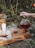 A tranquil outdoor setting featuring a hand pouring tea from a glass teapot into a cup on a wooden tray. The tray also holds slices of cake on parchment paper, two additional glass cups, and a lit white candle. Surrounding this scene are lush green plants and ripe red apples on the ground.