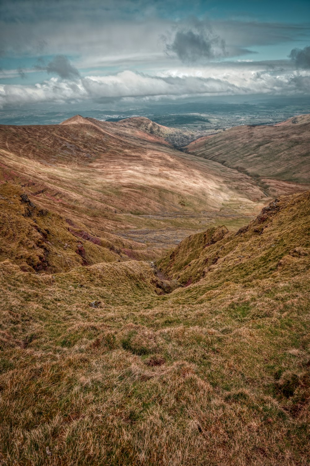 une vue d’une vallée herbeuse avec des collines en arrière-plan