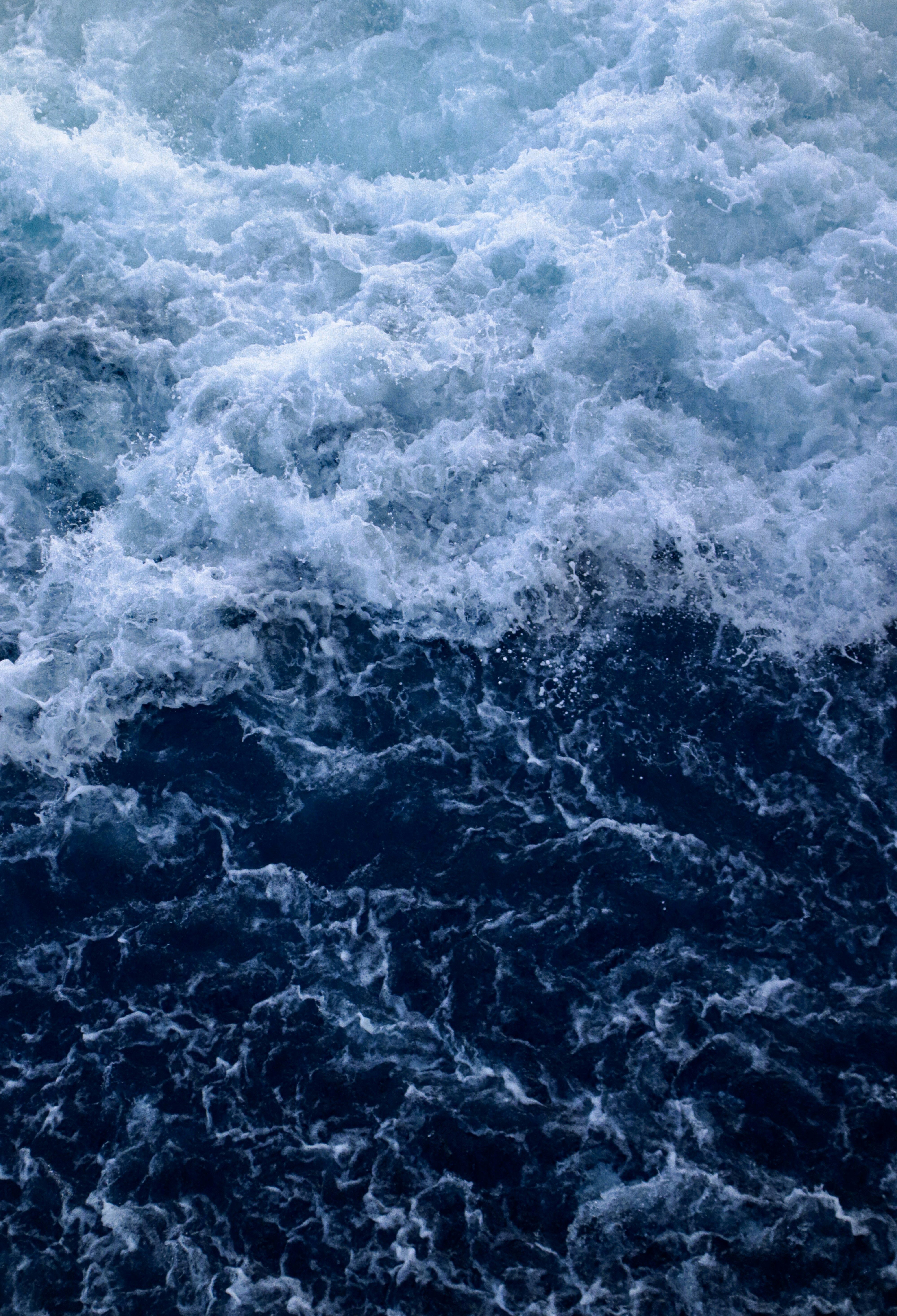 Photo by diegomeztej