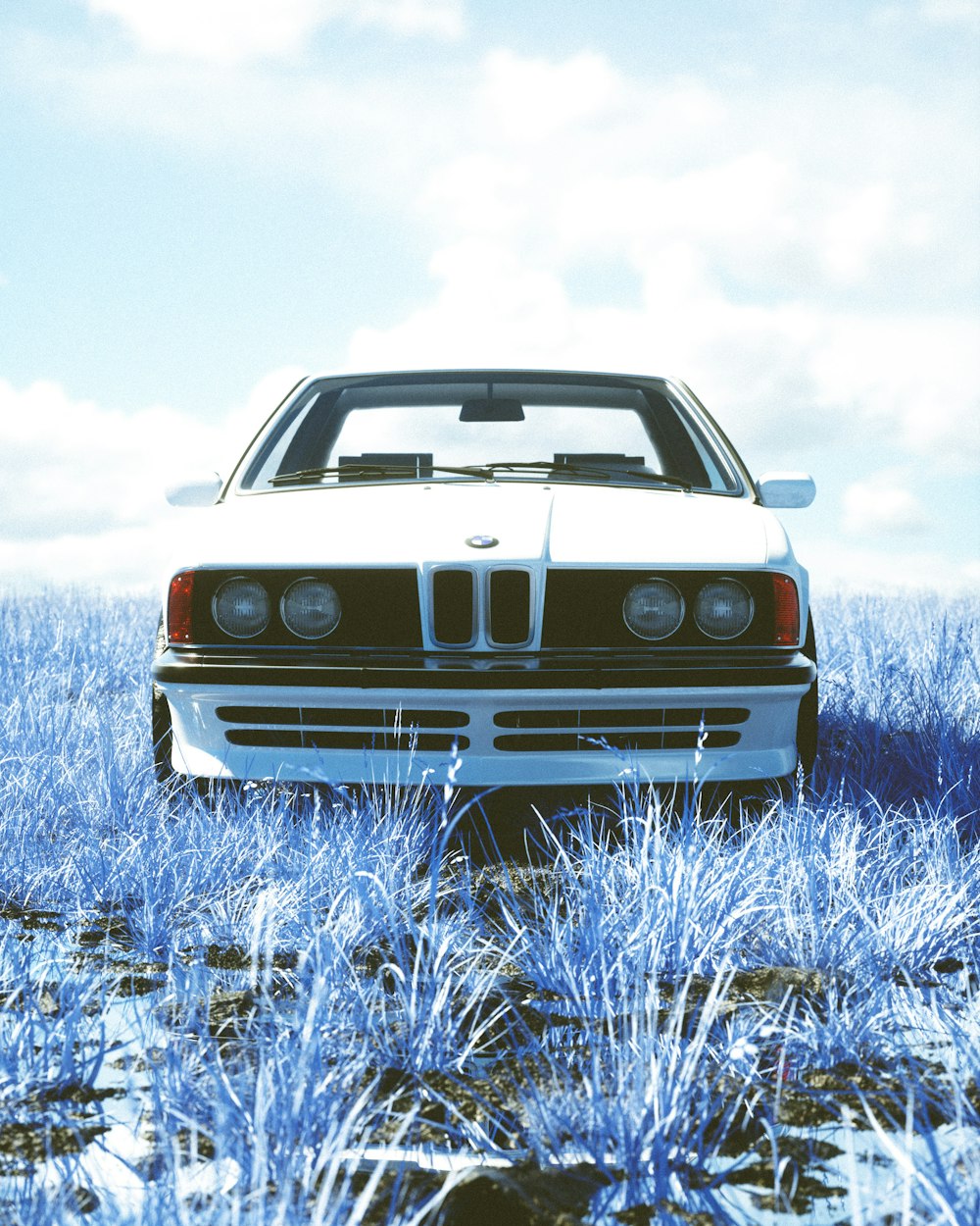a white car parked in a field of blue grass