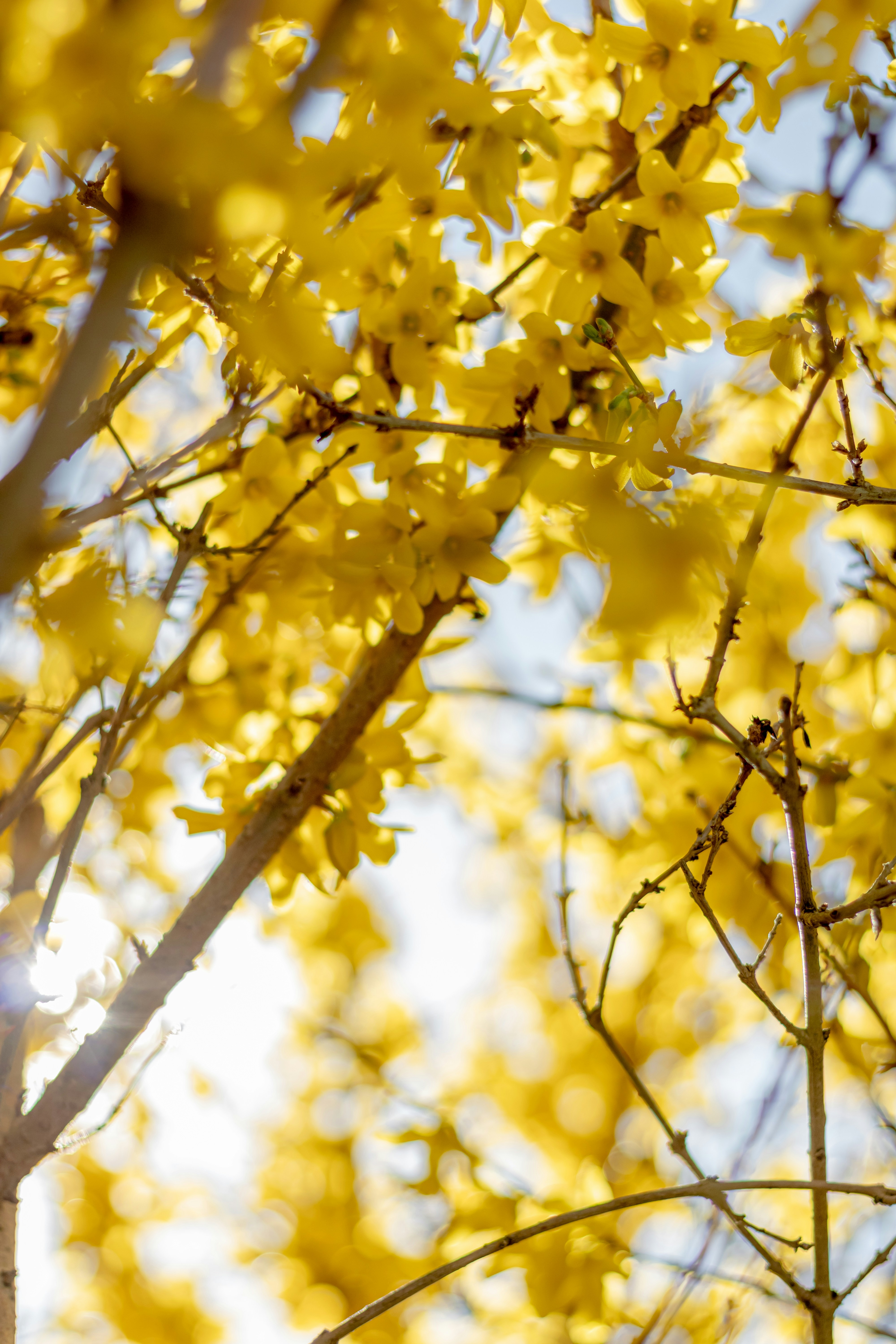 Photo by earthfulmoments