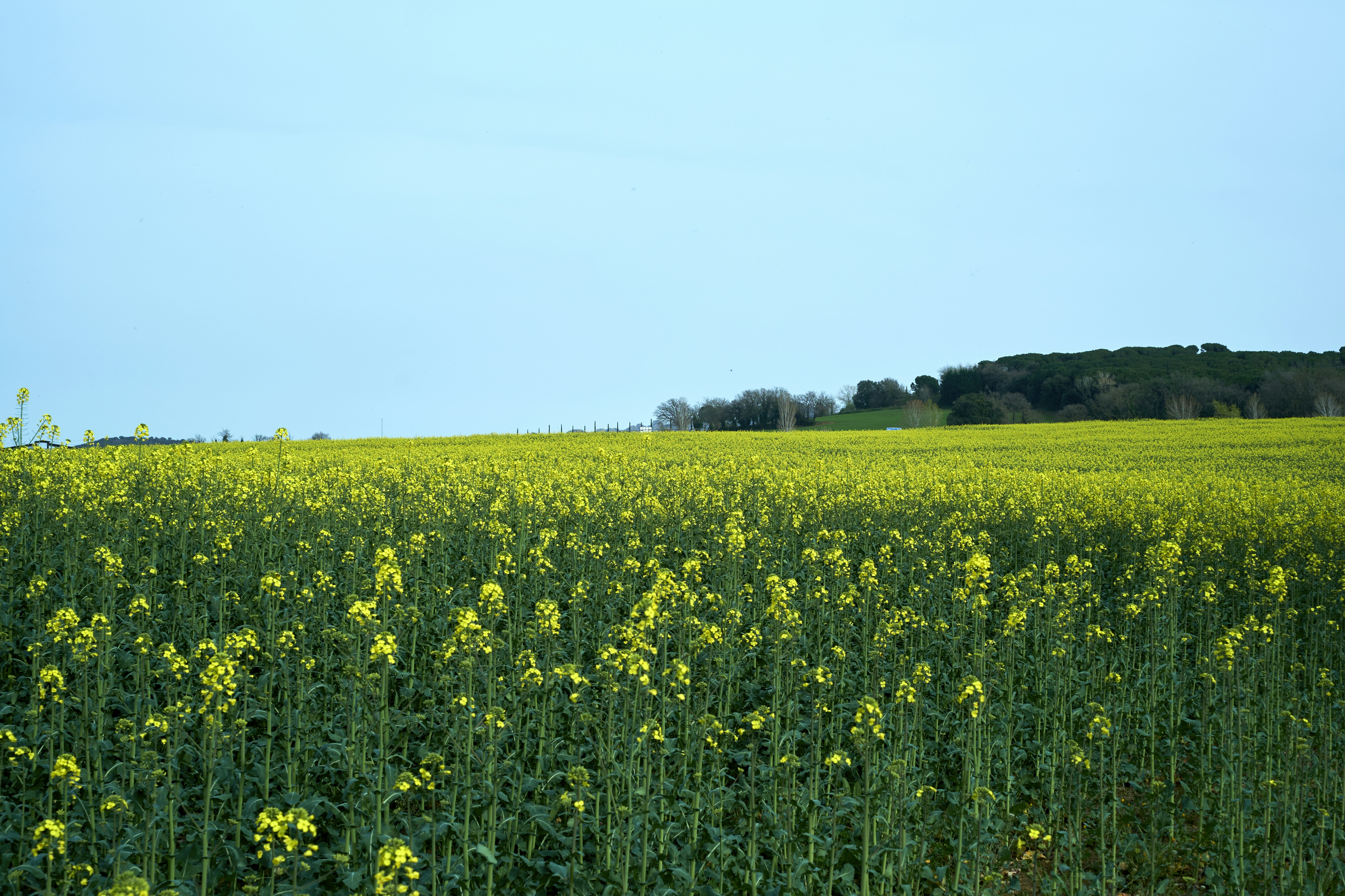 Photo by aleksandar_akr