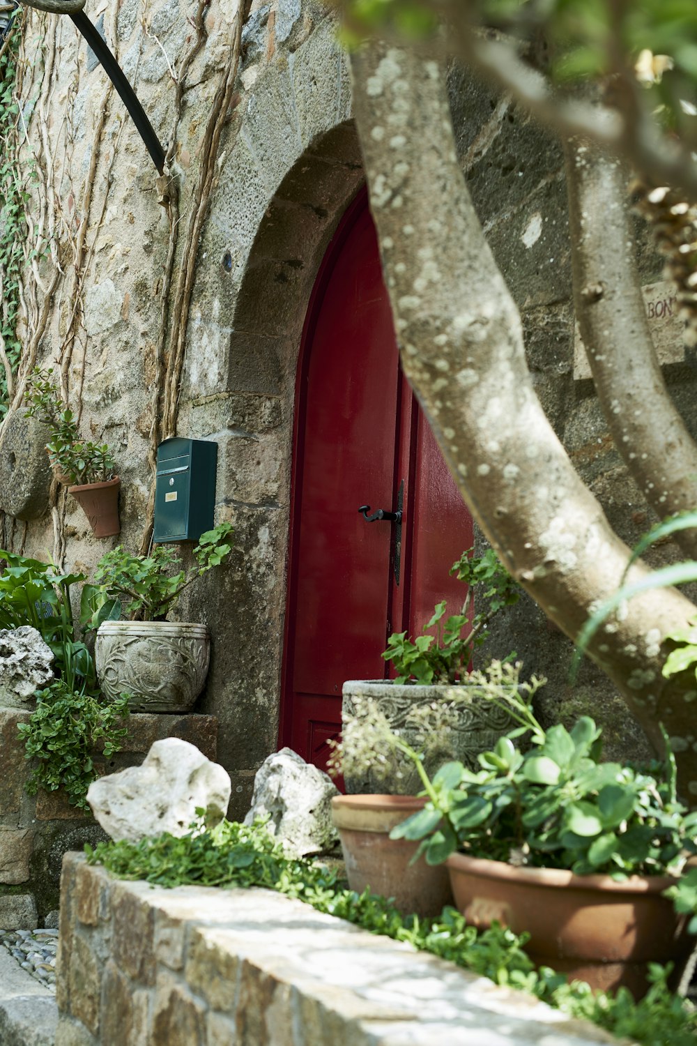 鉢植えの石造りの建物の赤いドア