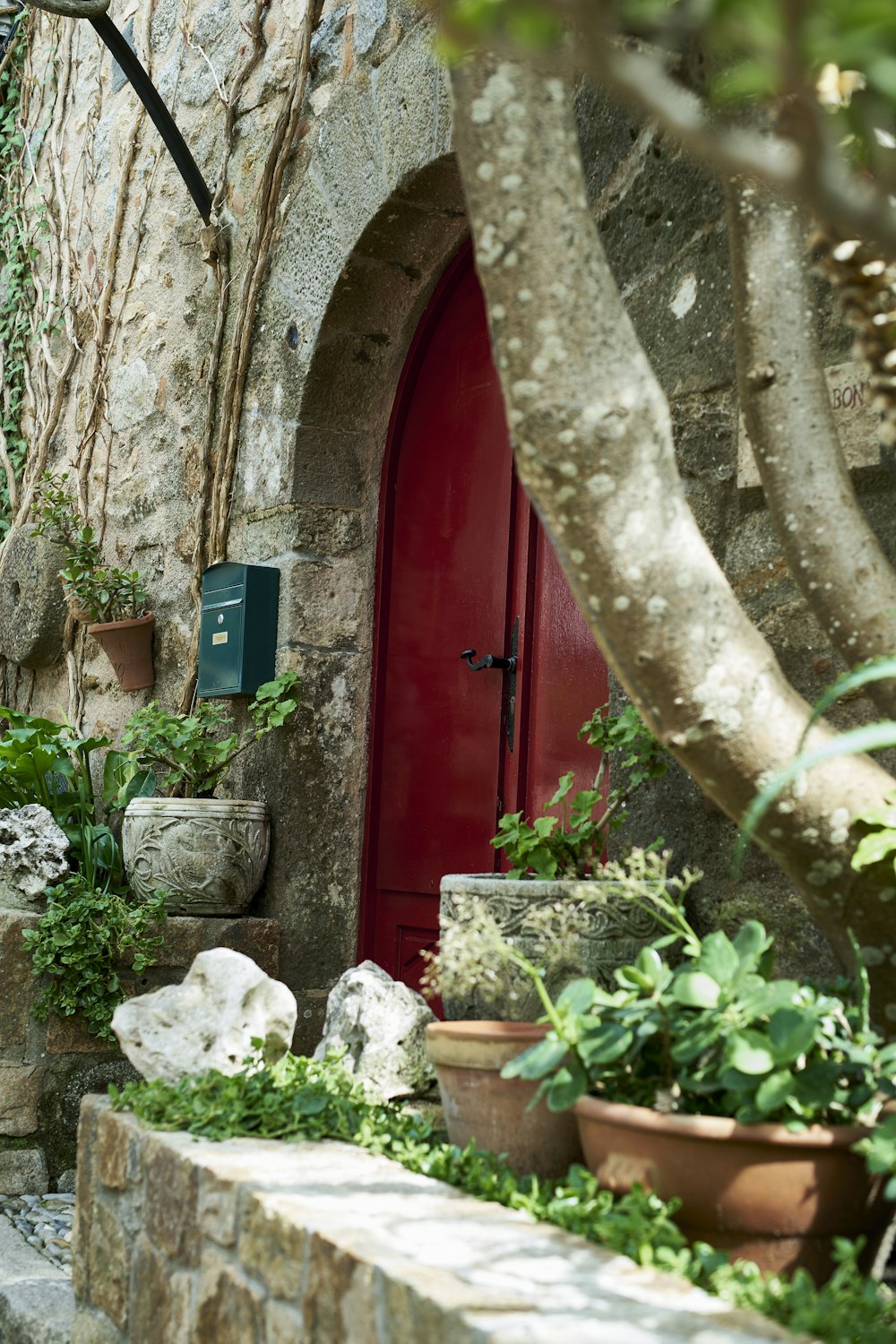 a red door in a stone building with potted plants