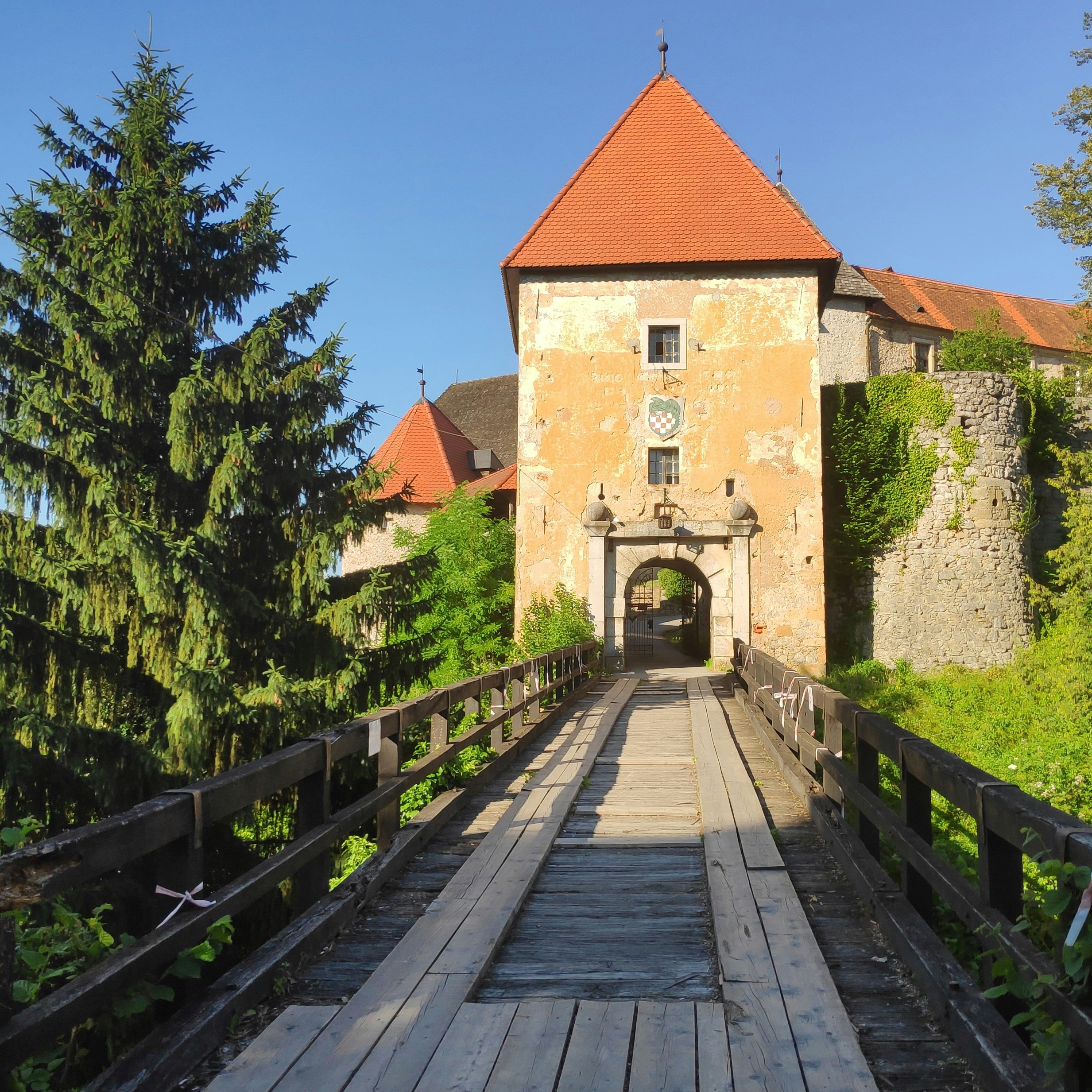 Photo by kristina001