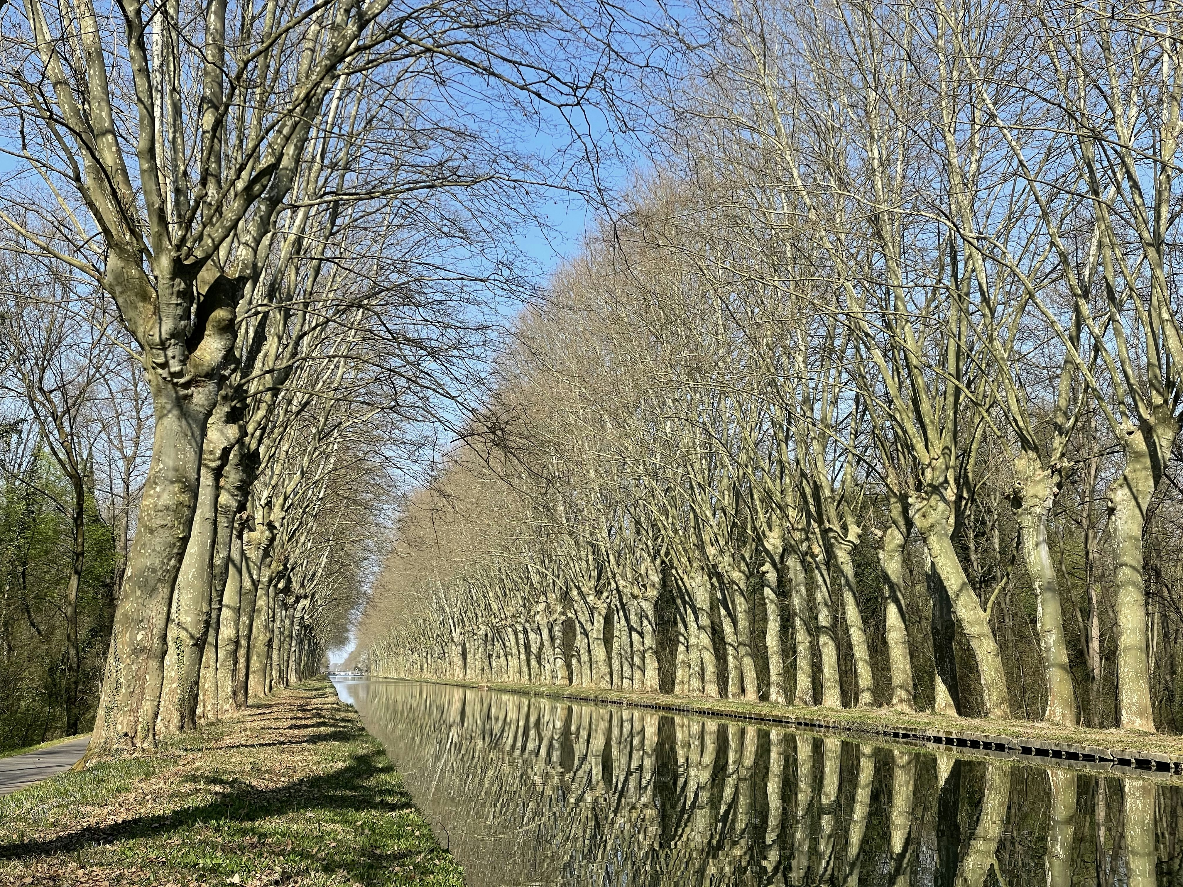 Bruche Canal photo 2