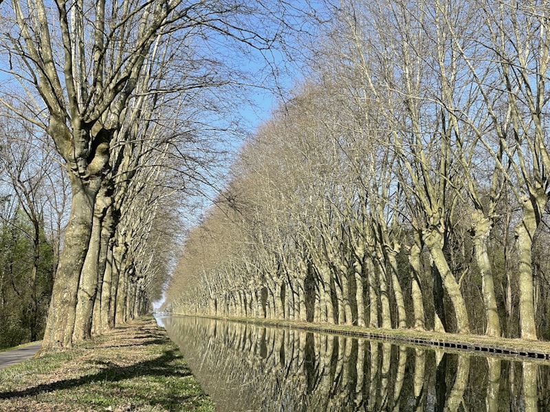 Portobello canal scene