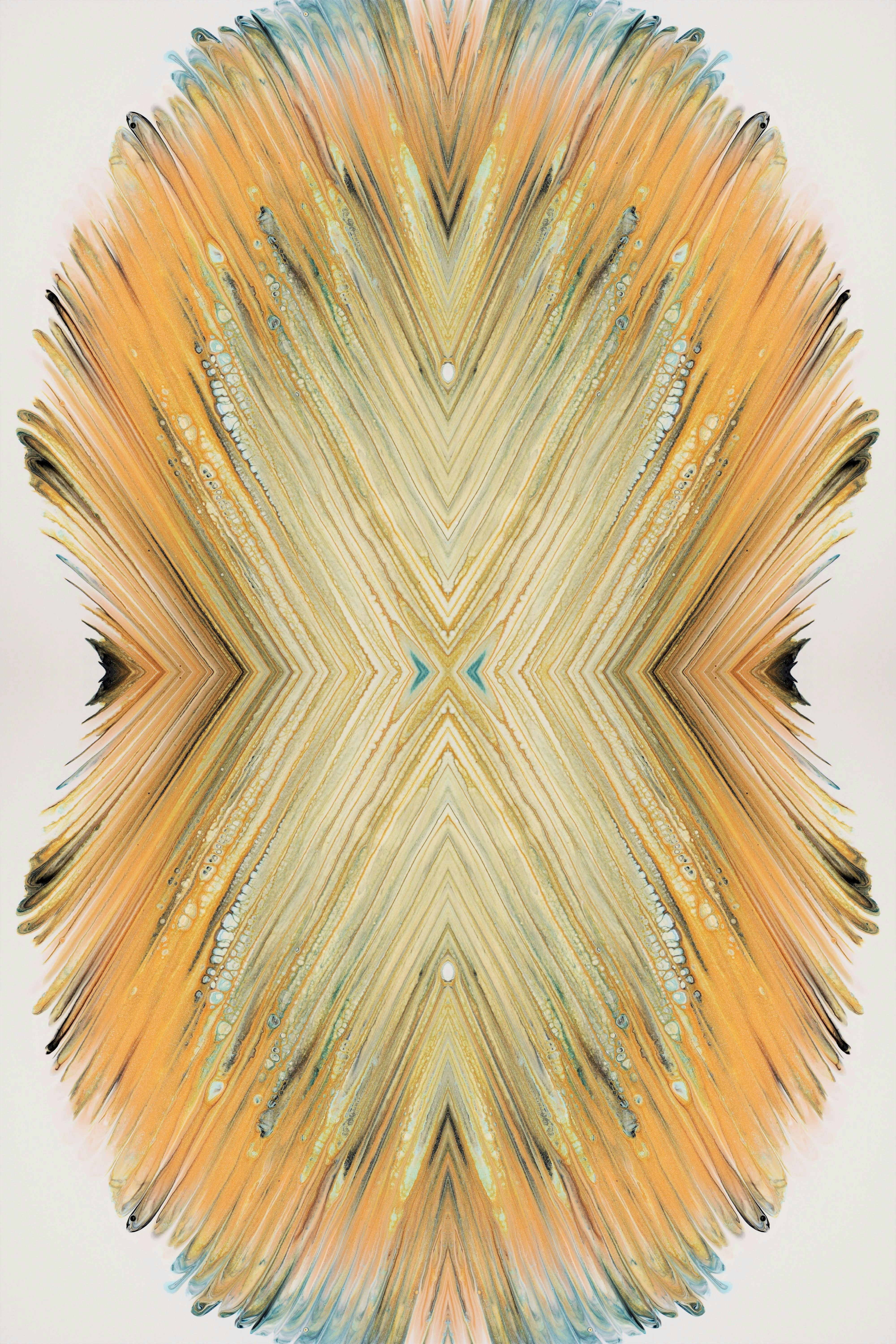 Photo by susan_wilkinson