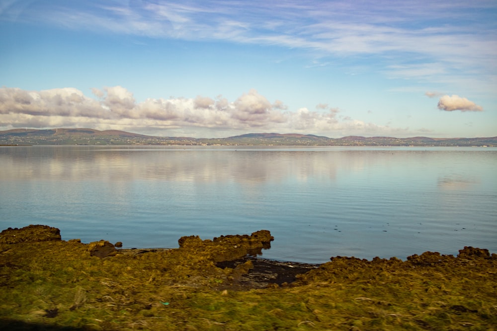 a large body of water surrounded by a lush green field