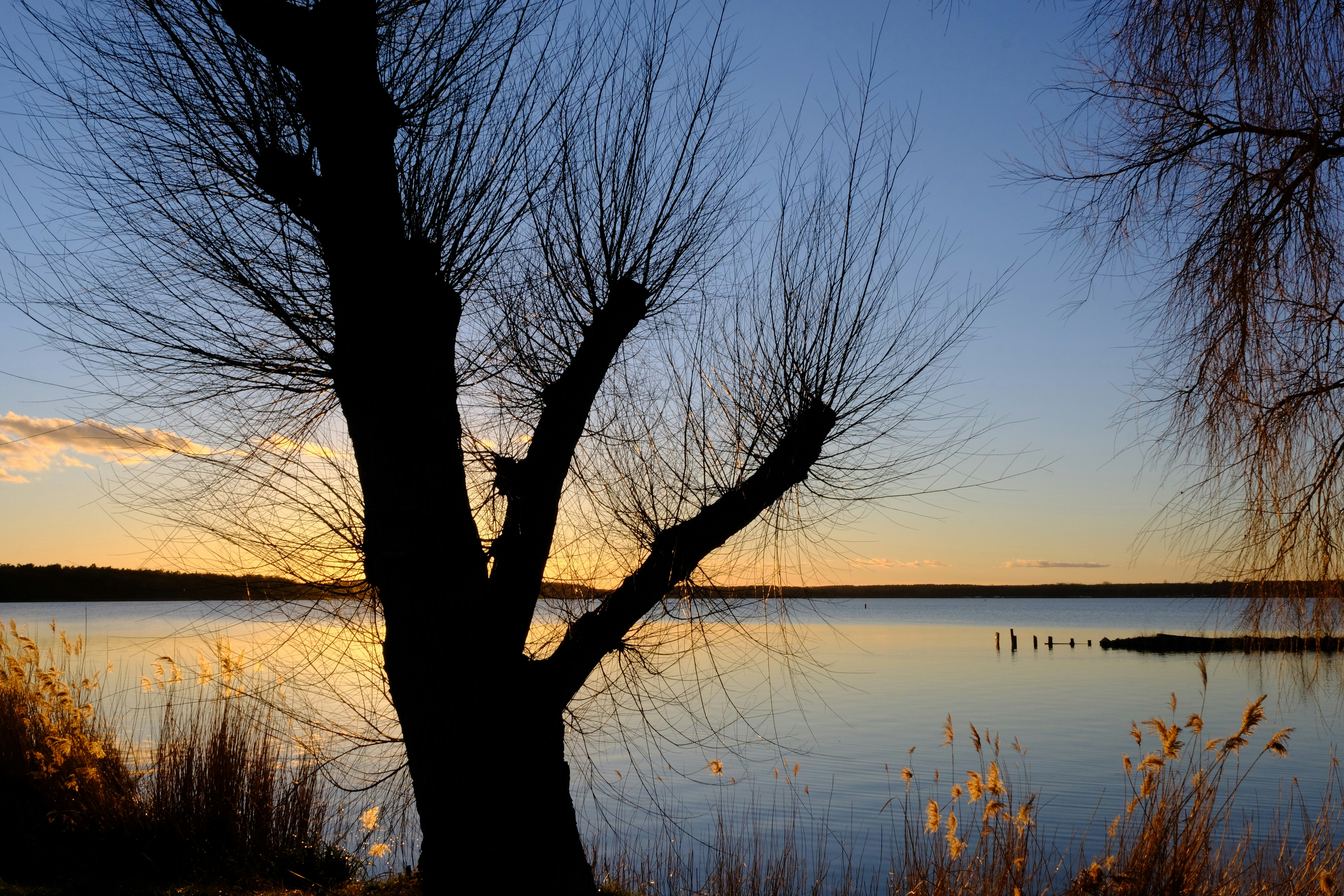 Photo by tassilogroeper