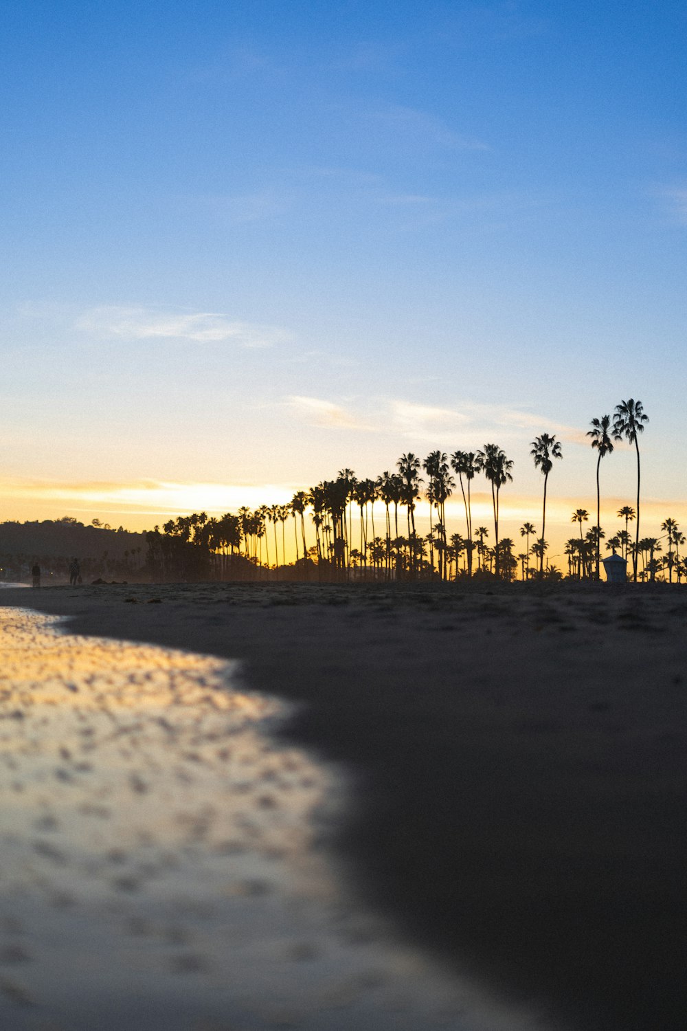 a beach with palm trees and the sun setting