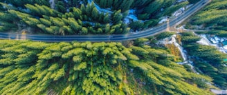 help businesses track the environmental impact of their sourcing from China