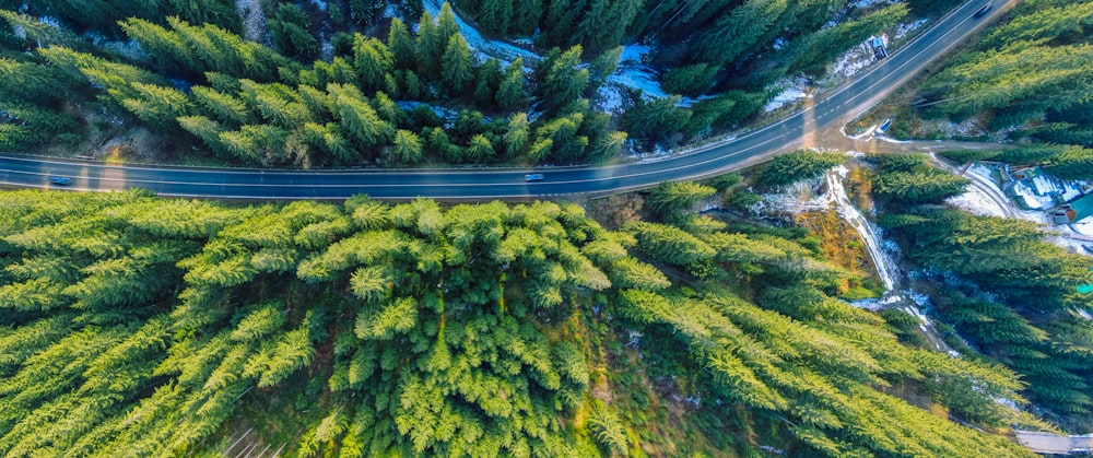 an aerial view of a road surrounded by trees