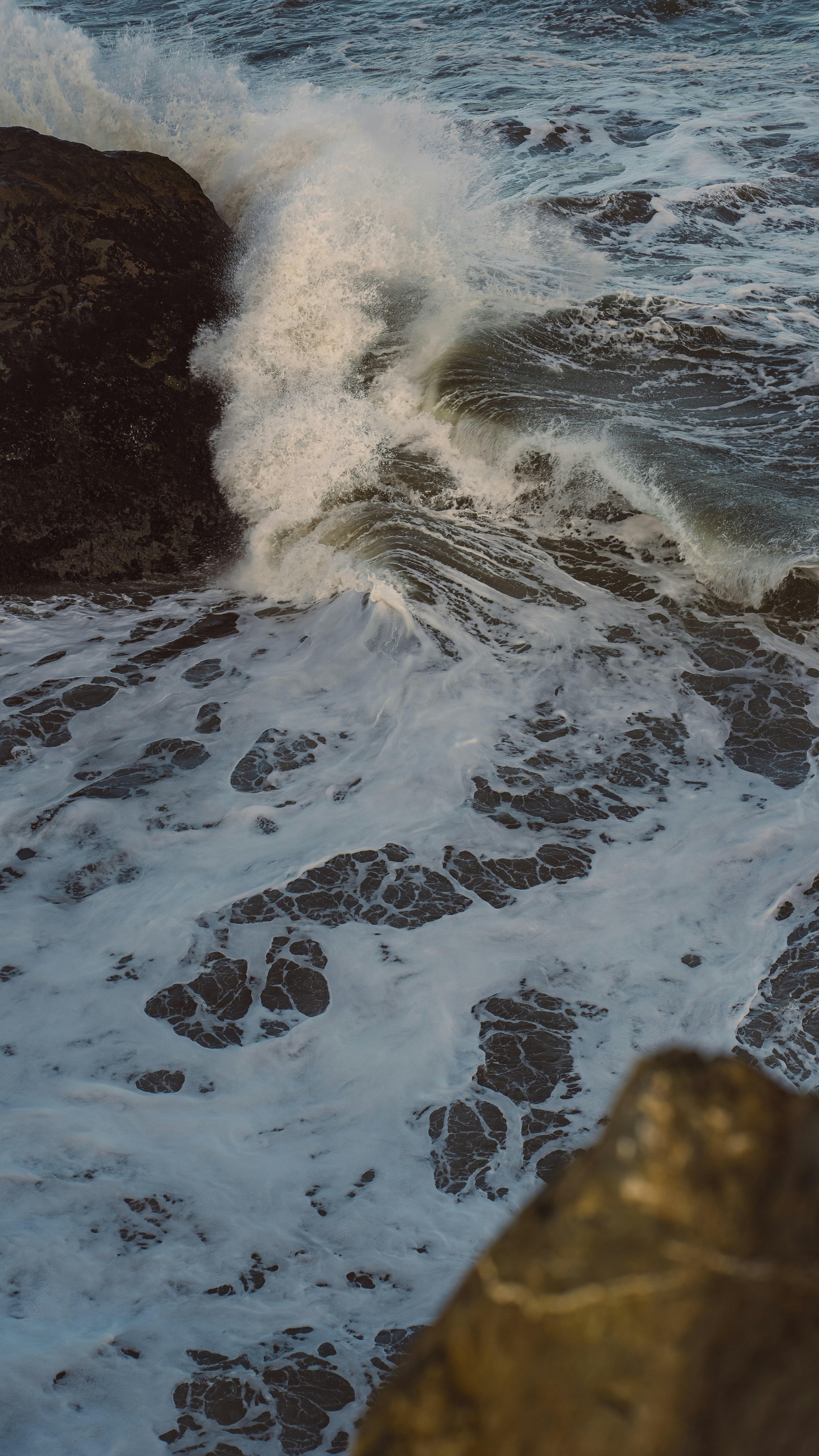 Photo by kalaniparker