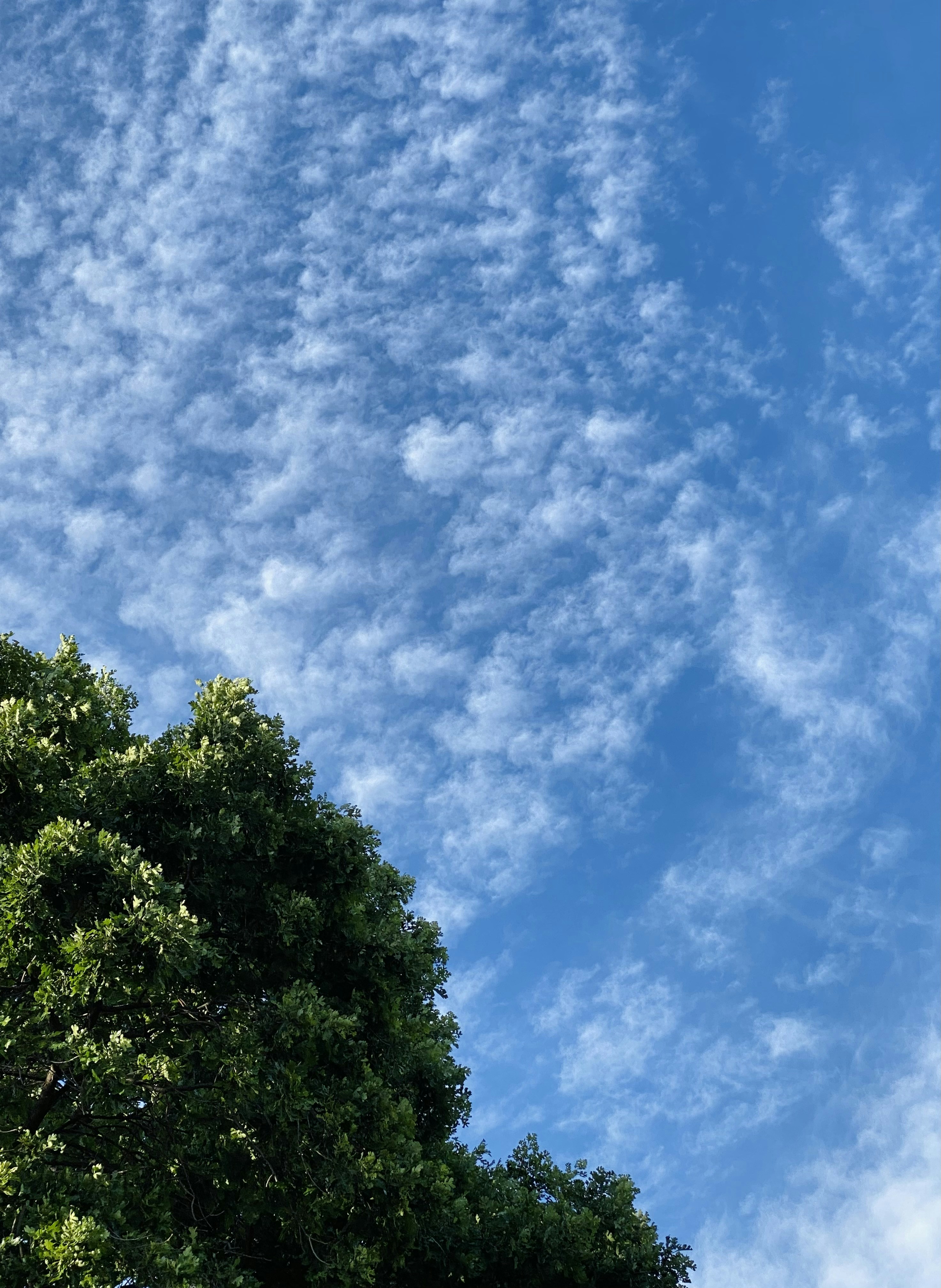 Photo by giorgiotrovato