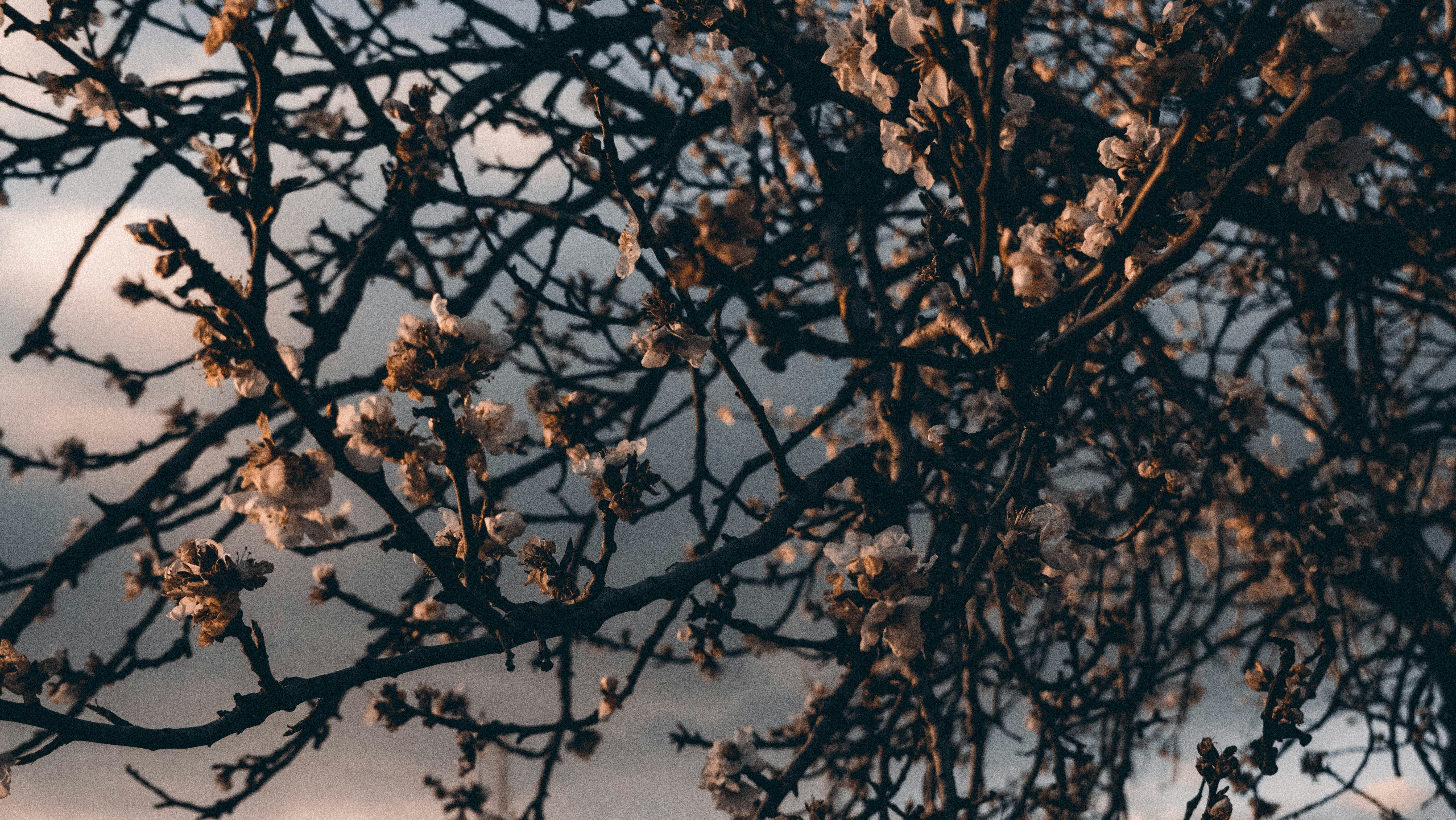 Photo by shadesofdecay