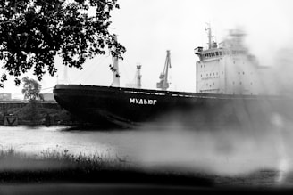 A large cargo ship with Cyrillic text on its side is docked in a harbor. There are cranes in the background, indicating an industrial setting. The foreground features blurred tree leaves and a grassy area, partially obscuring the scene.