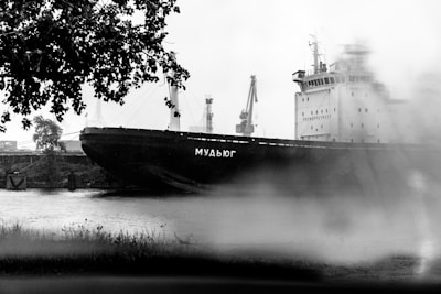 A large cargo ship with Cyrillic text on its side is docked in a harbor. There are cranes in the background, indicating an industrial setting. The foreground features blurred tree leaves and a grassy area, partially obscuring the scene.
