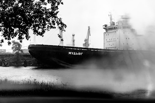 A large cargo ship with Cyrillic text on its side is docked in a harbor. There are cranes in the background, indicating an industrial setting. The foreground features blurred tree leaves and a grassy area, partially obscuring the scene.