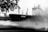 A large cargo ship with Cyrillic text on its side is docked in a harbor. There are cranes in the background, indicating an industrial setting. The foreground features blurred tree leaves and a grassy area, partially obscuring the scene.